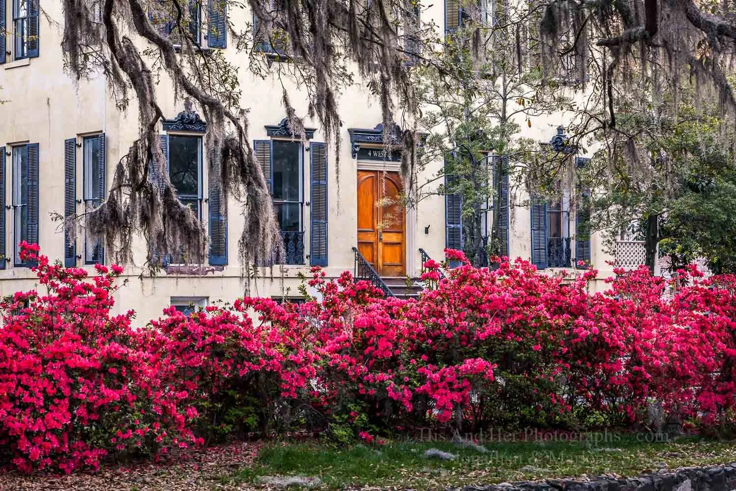 savannah-blooms-132.jpg