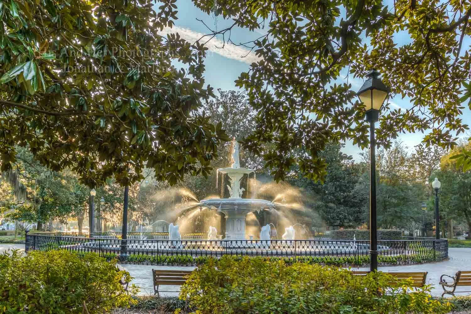 savannah-forsyth-fountain-sunrays-333.jpg