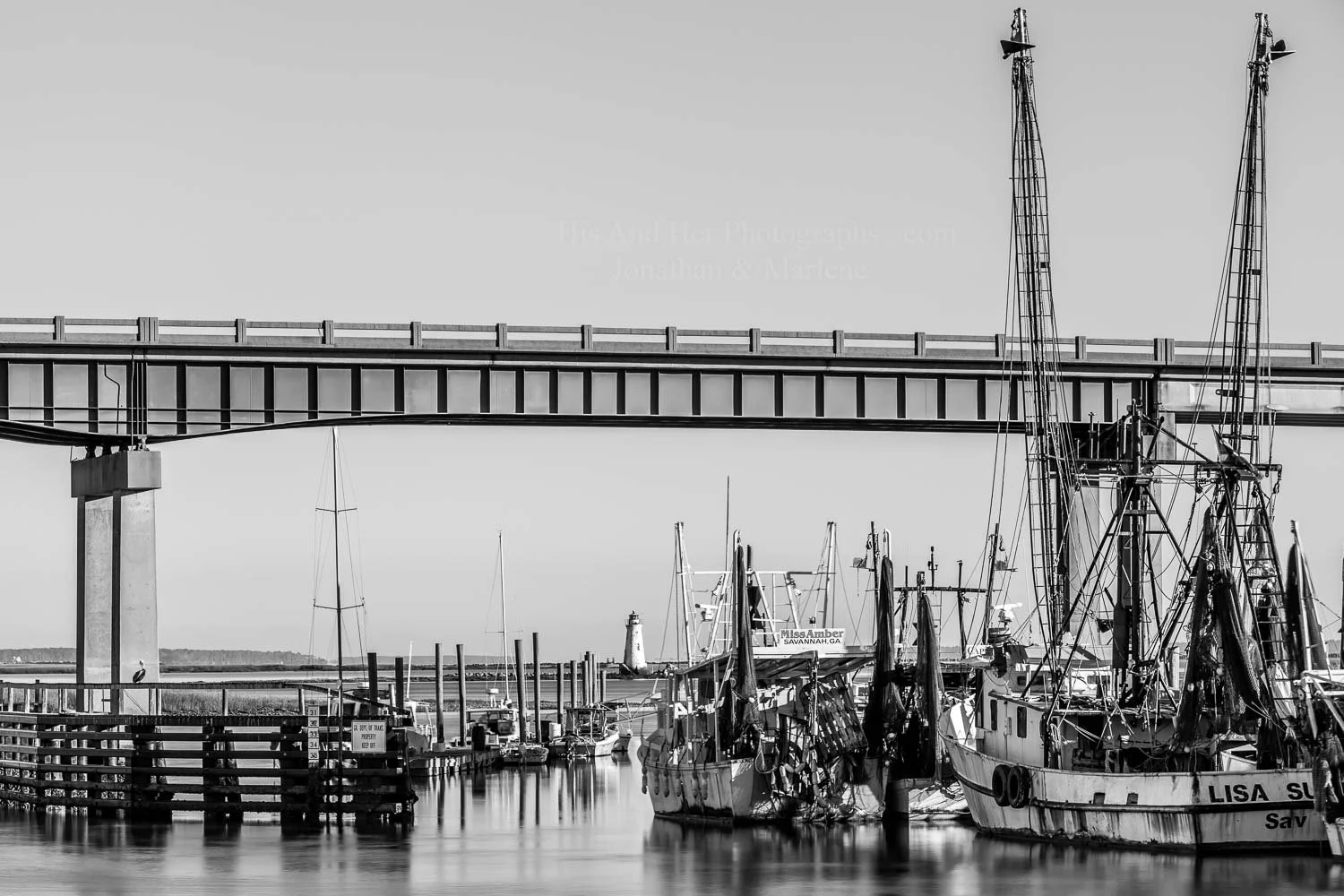 cockspur-island-black-white-tyb14.jpg