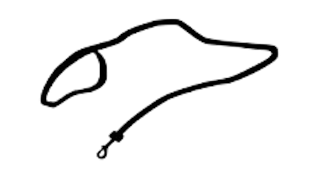 Positive Lead Dog Training