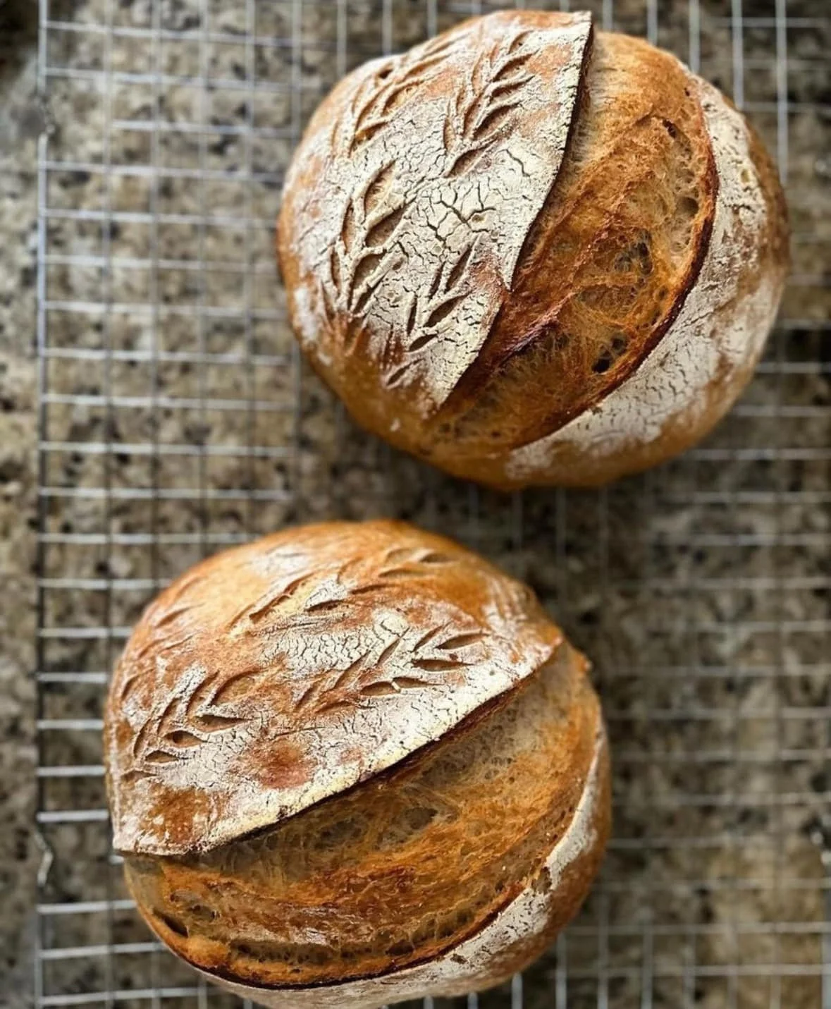 Sourdough 101- Coming Soon