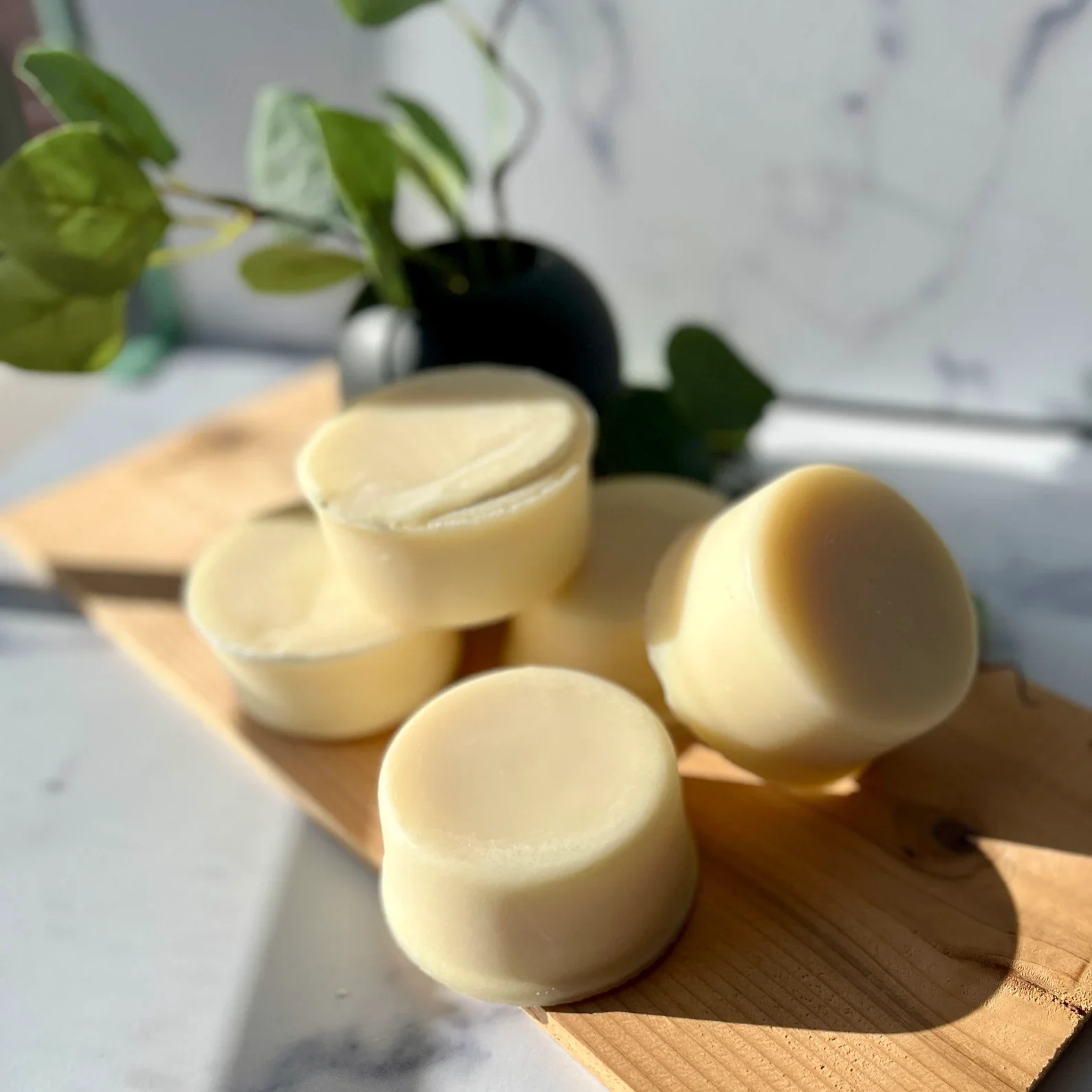 Zero Waste Solid Dish Soap Refill