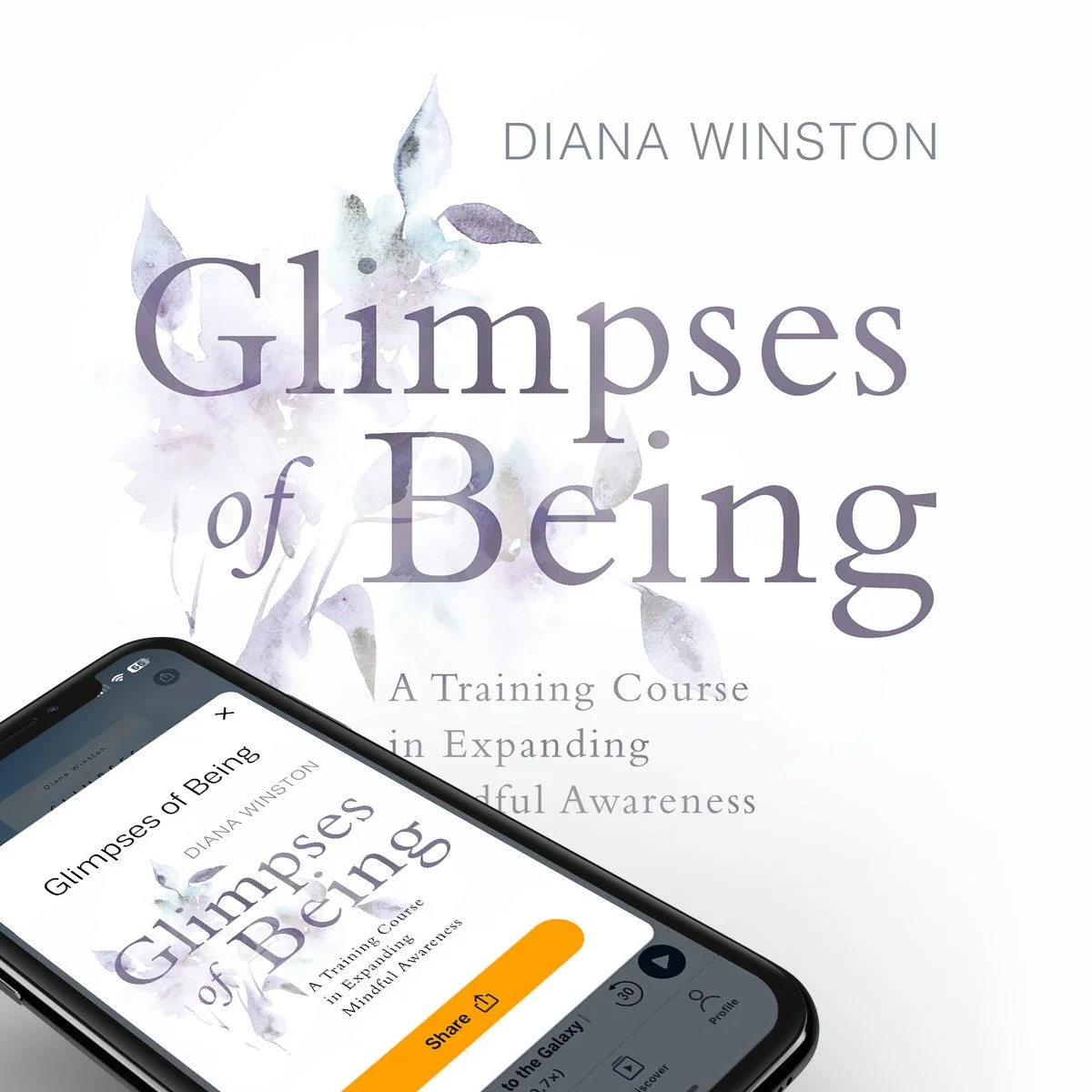 Audiobook Cover Design | Sounds True Publishing