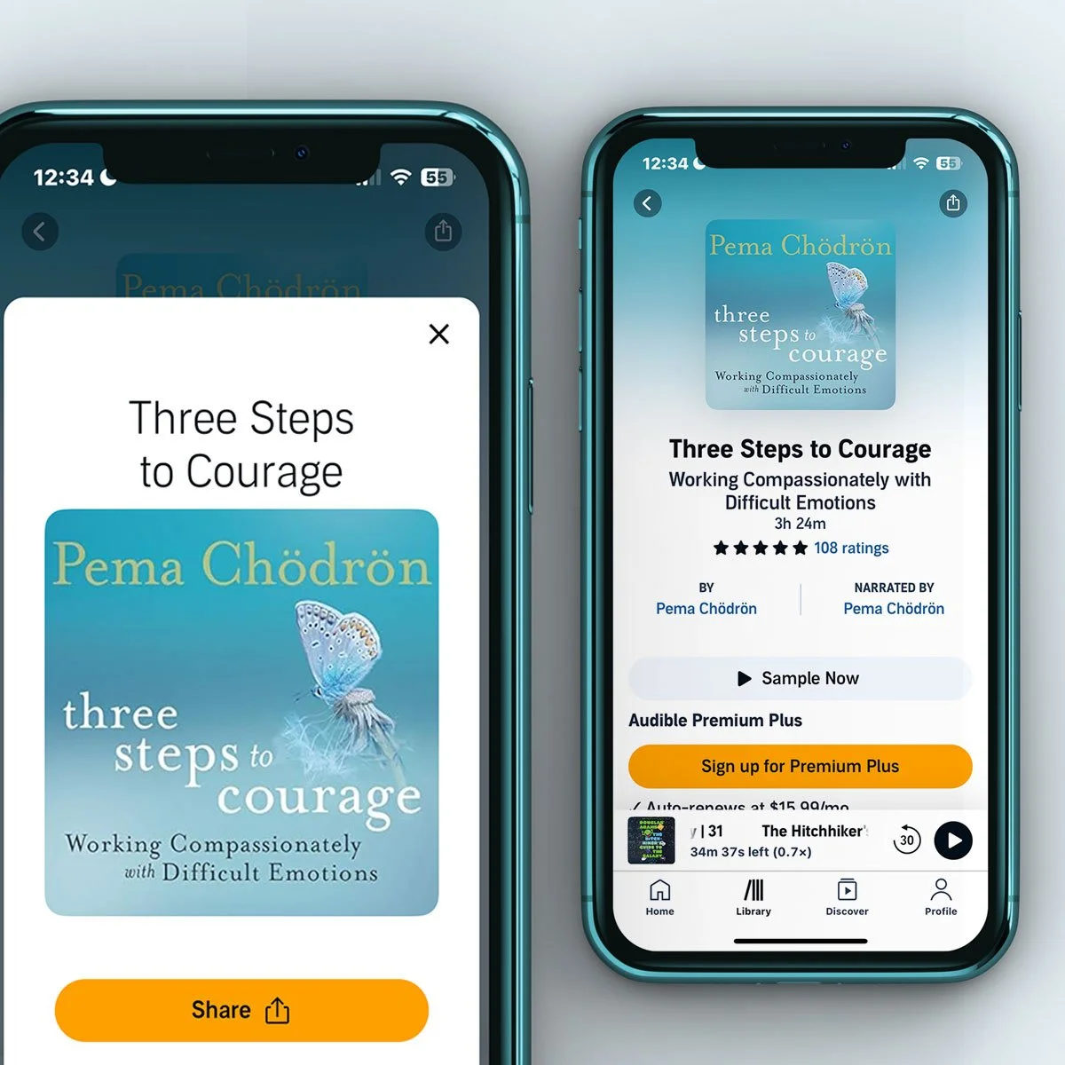 Audiobook Cover | Pema Chodron