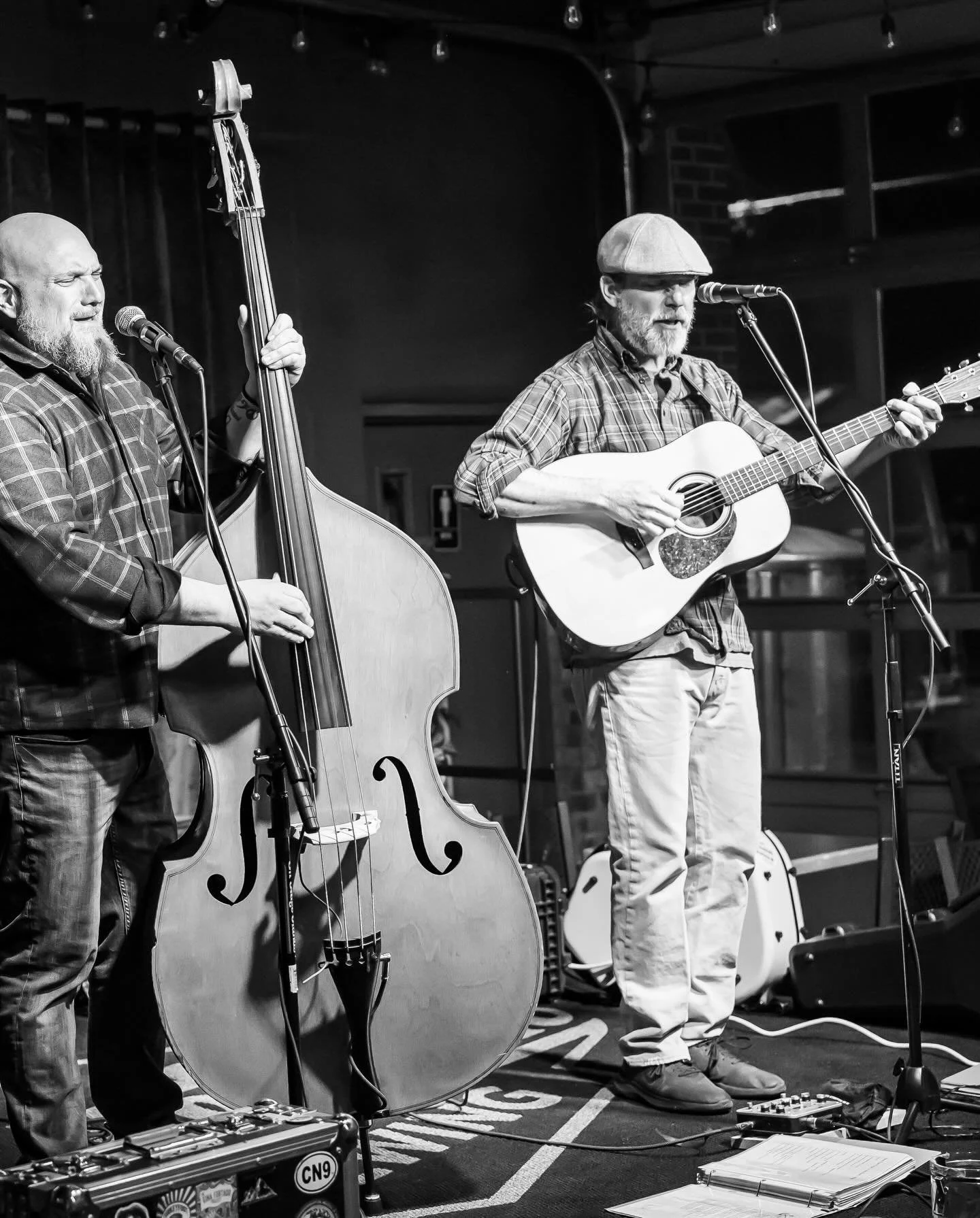 Two men performing on stage, one playing a double bass and singing into a microphone, the other playing an acoustic guitar and singing into a microphone, in a cozy indoor setting.