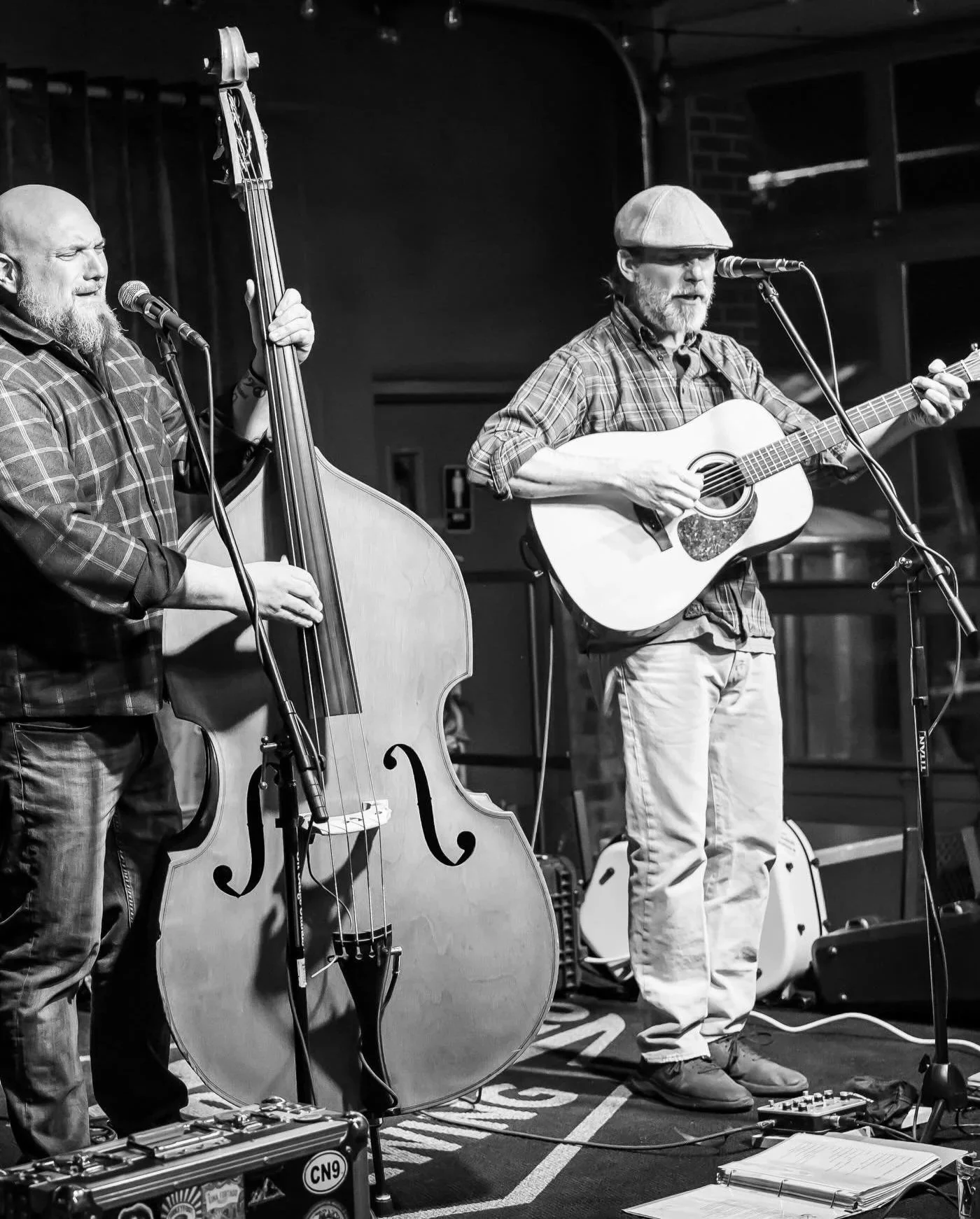 Two musicians performing on stage; one playing a double bass and singing into a microphone, the other playing an acoustic guitar and singing into a microphone, in a cozy indoor venue.