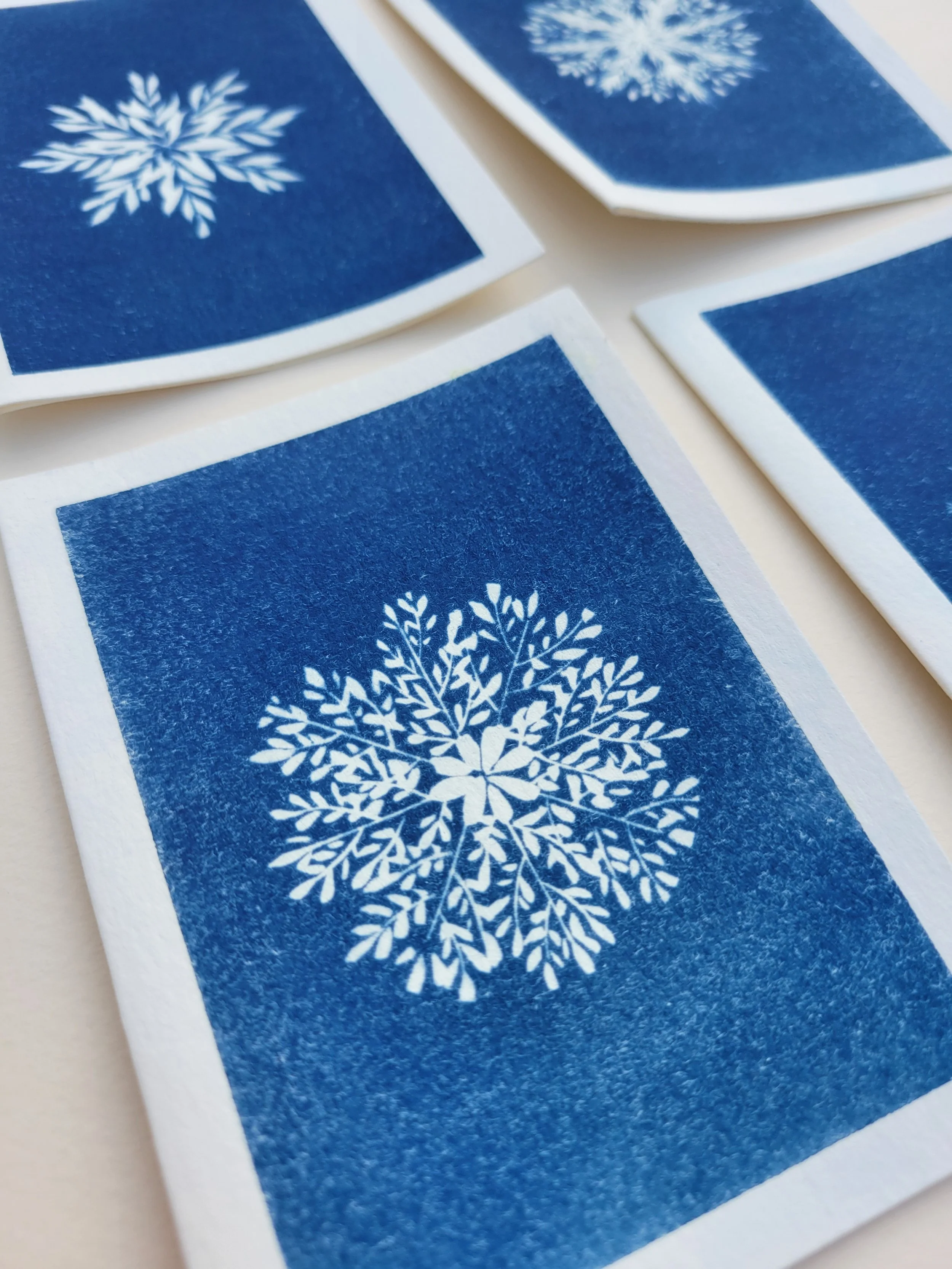 Botanical Snowflakes | 3×5 Note Cards