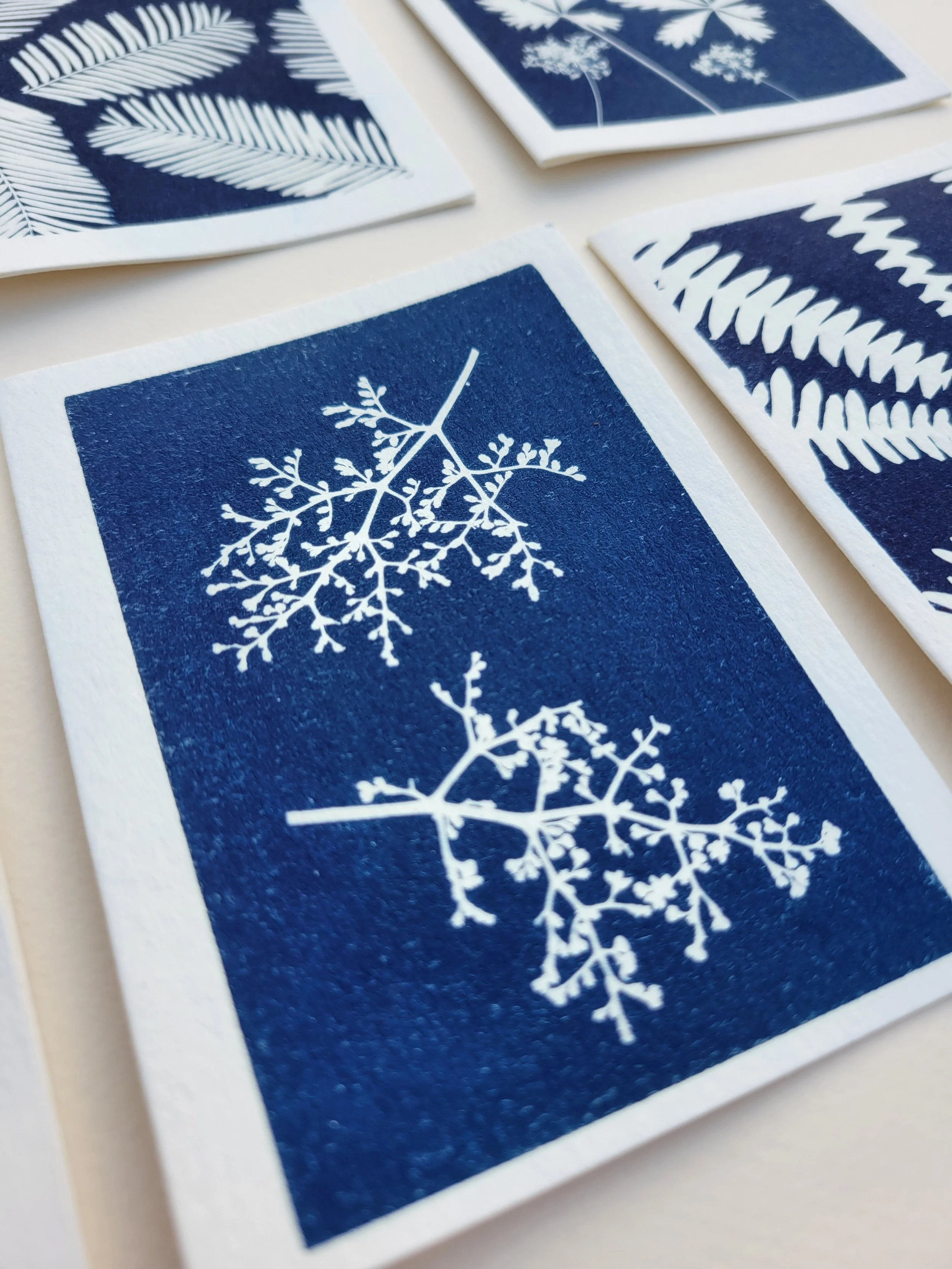 Mixed Botanicals | 3×5 Note Cards