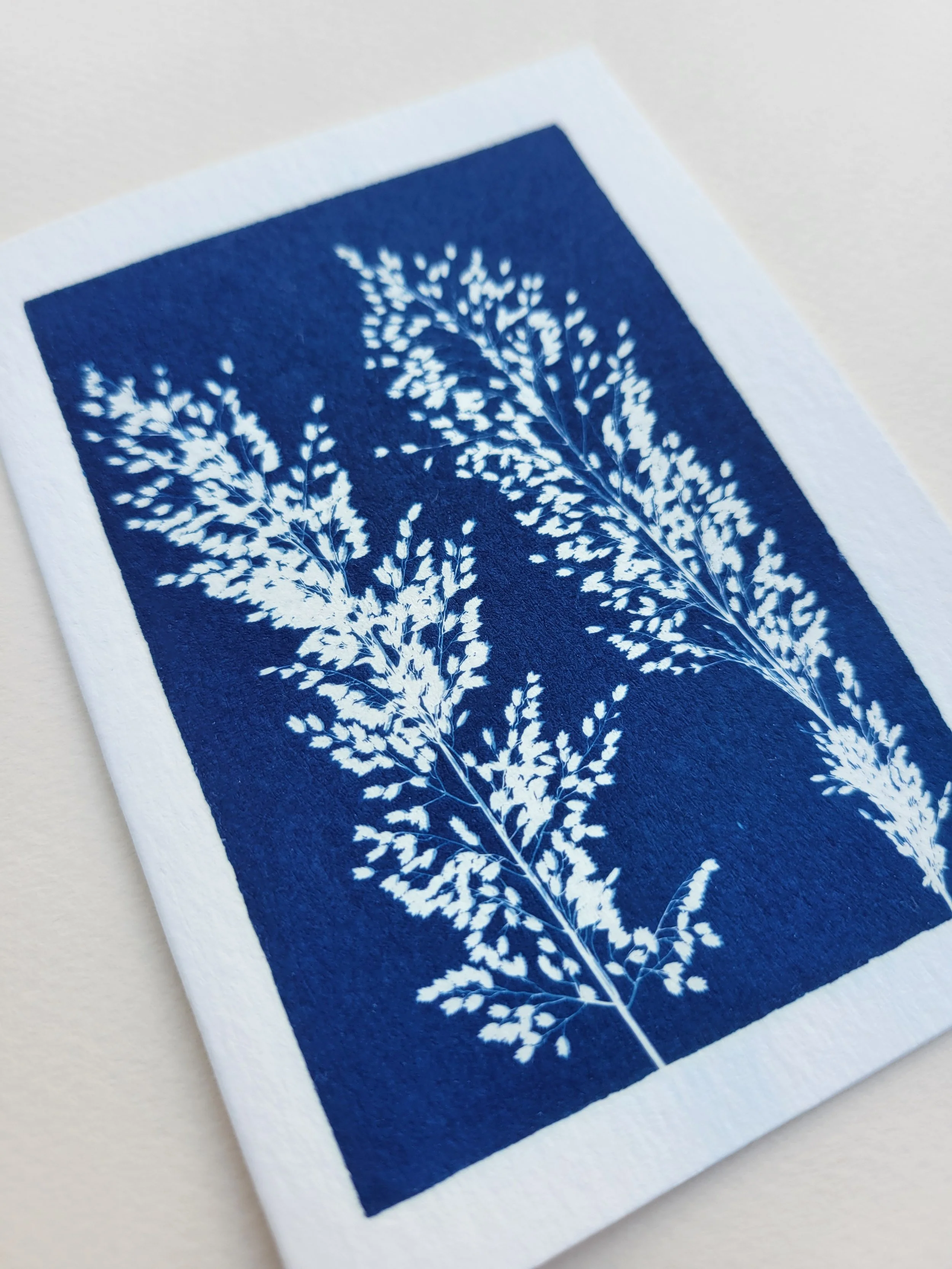 Lavender | 3×5 Note Cards