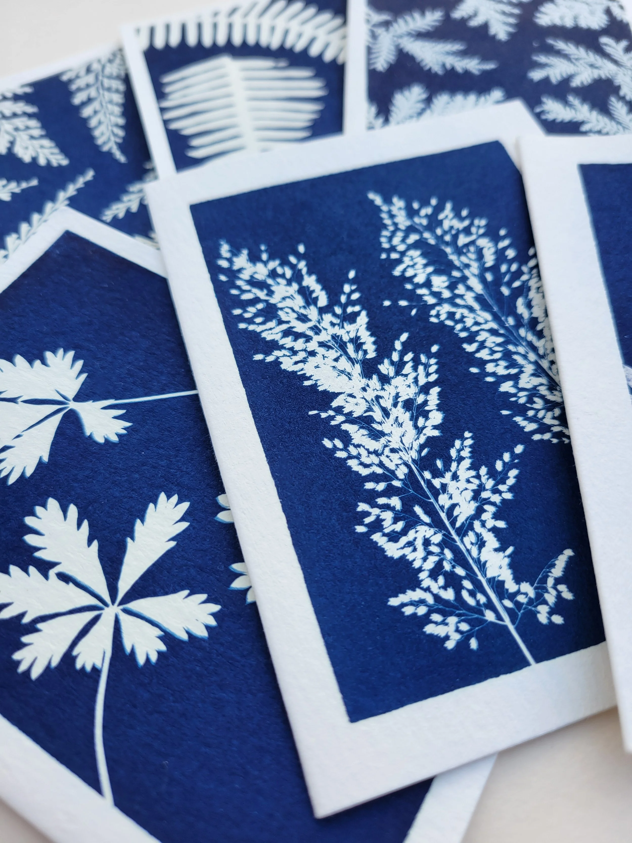 Mixed Botanicals | 3×5 Note Cards