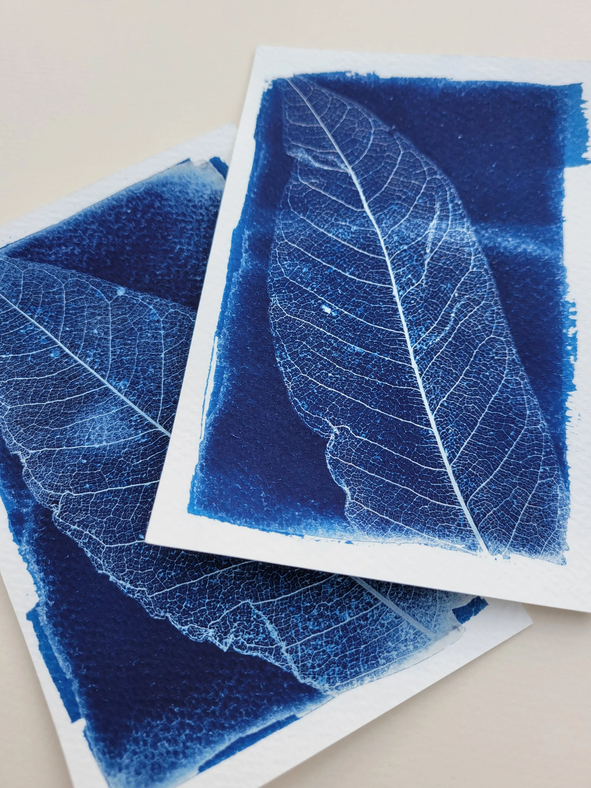 Flat Leaf | 5x7 Test Prints