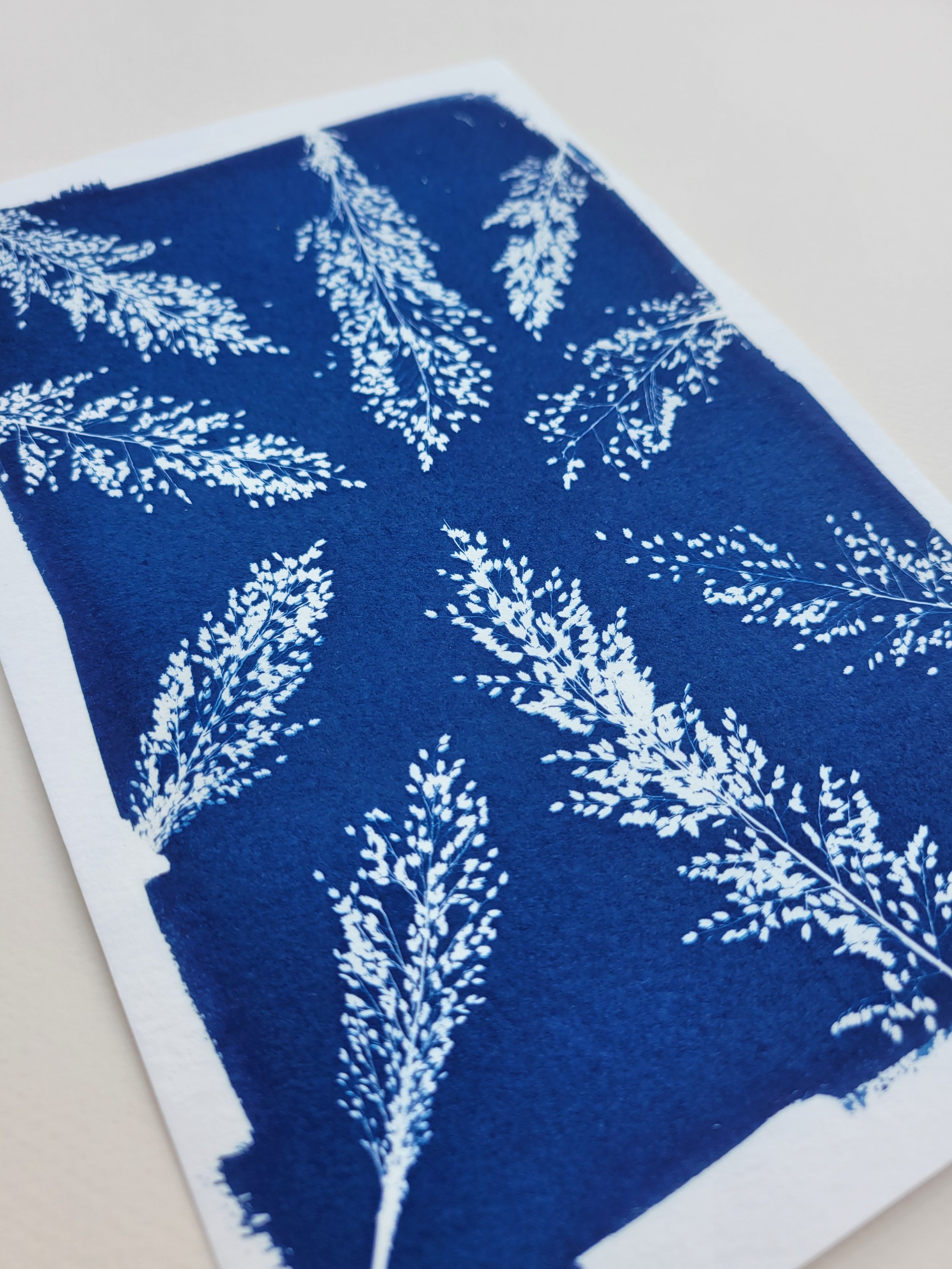 Lavender | 5x7 Custom Design 