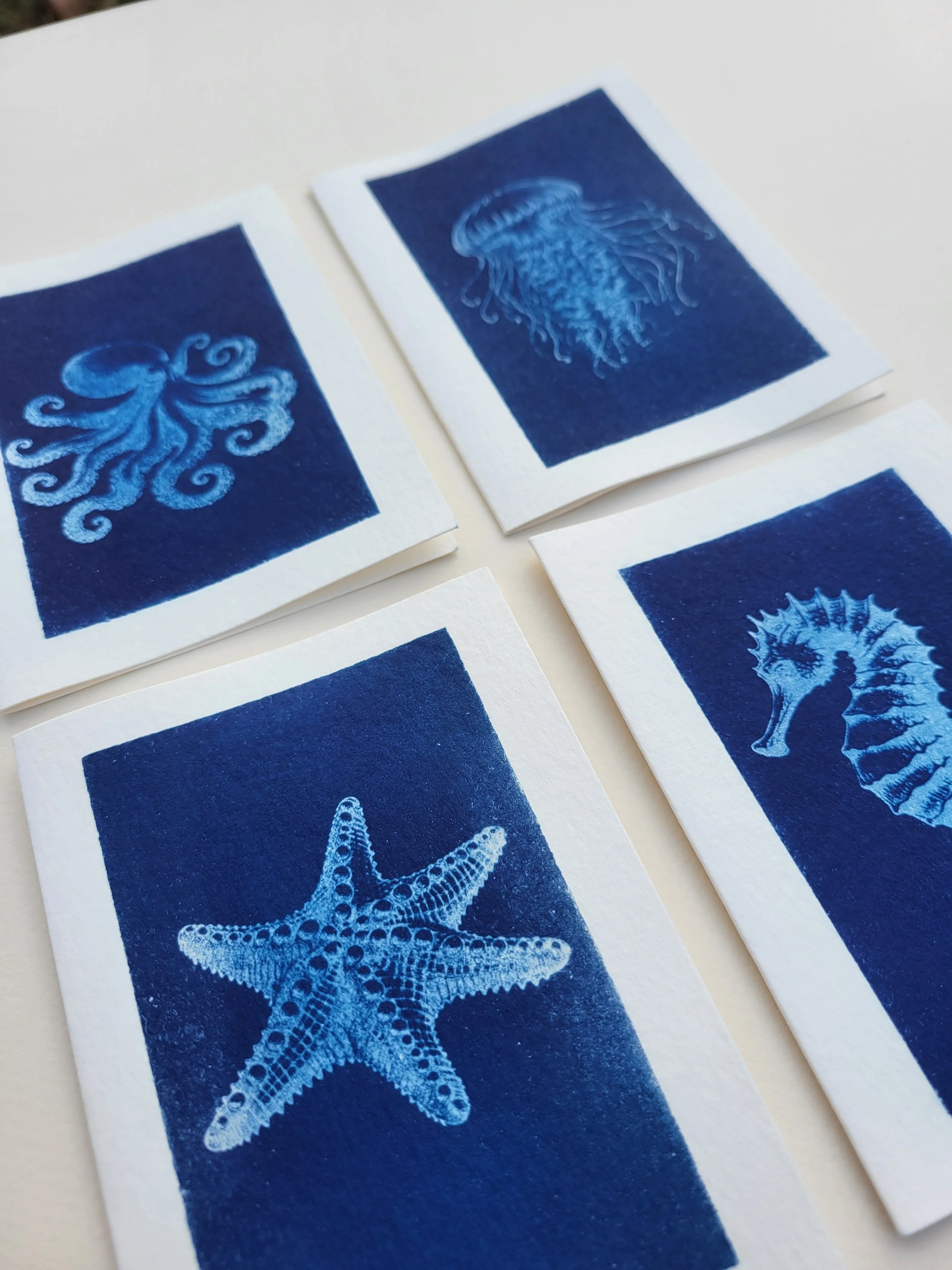 Sealife | 3×5 Note Cards