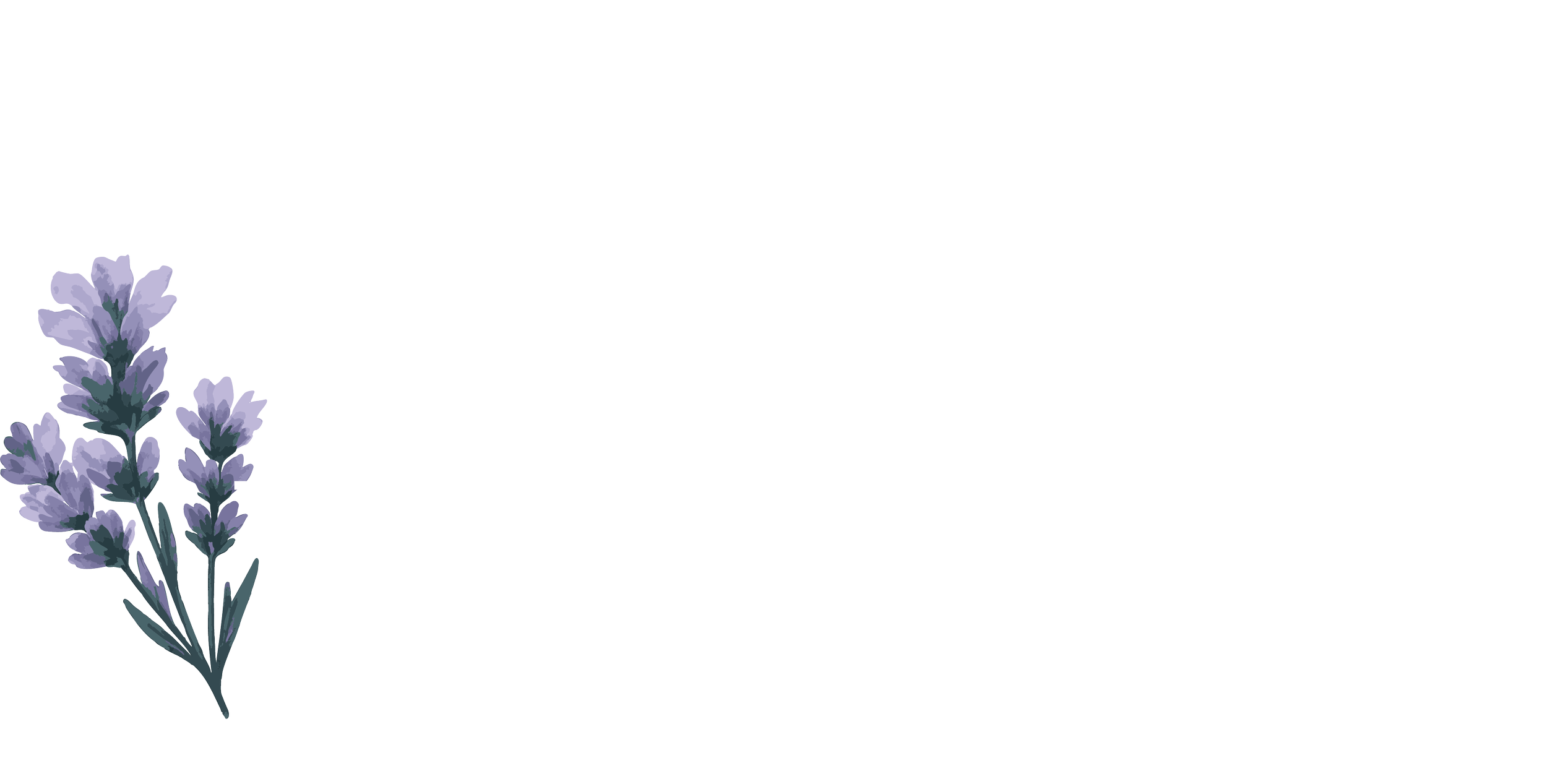 Watercolor illustration of a sprig of lavender with purple flowers and green leaves.