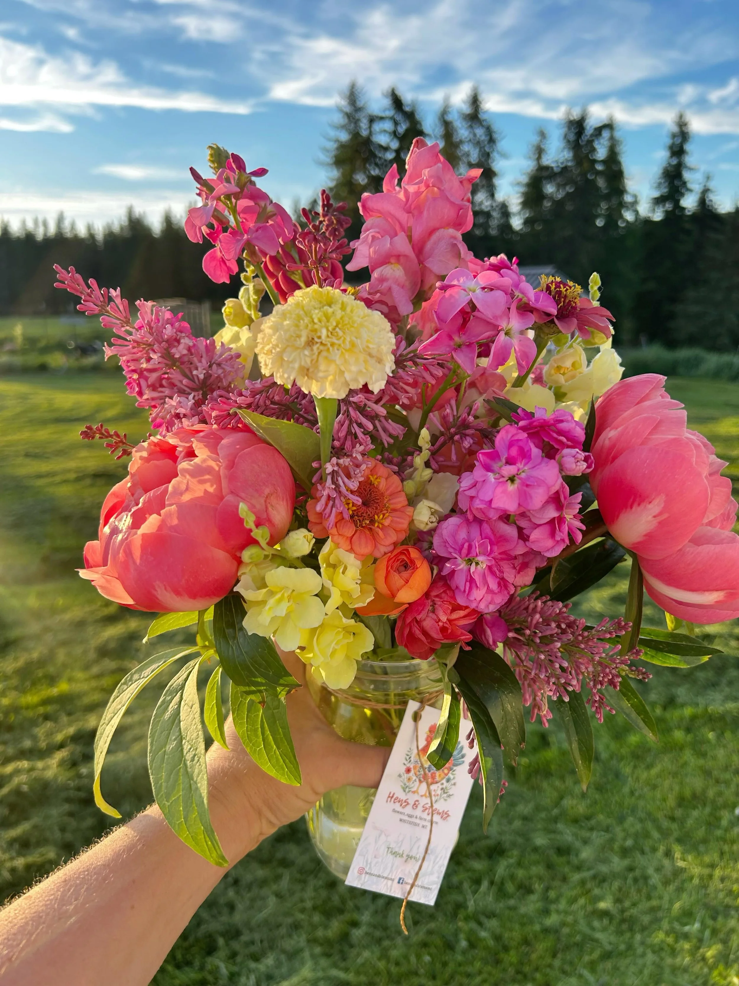 Feels so GOOD to have flowers blooming again! 🌼💐🩷

I&rsquo;ll give you a little garden tour later! I wish I could take credit for all of these beauties, but I did not grow most of these. My dad purchased a bunch of wonderful starts from Angie&rsqu