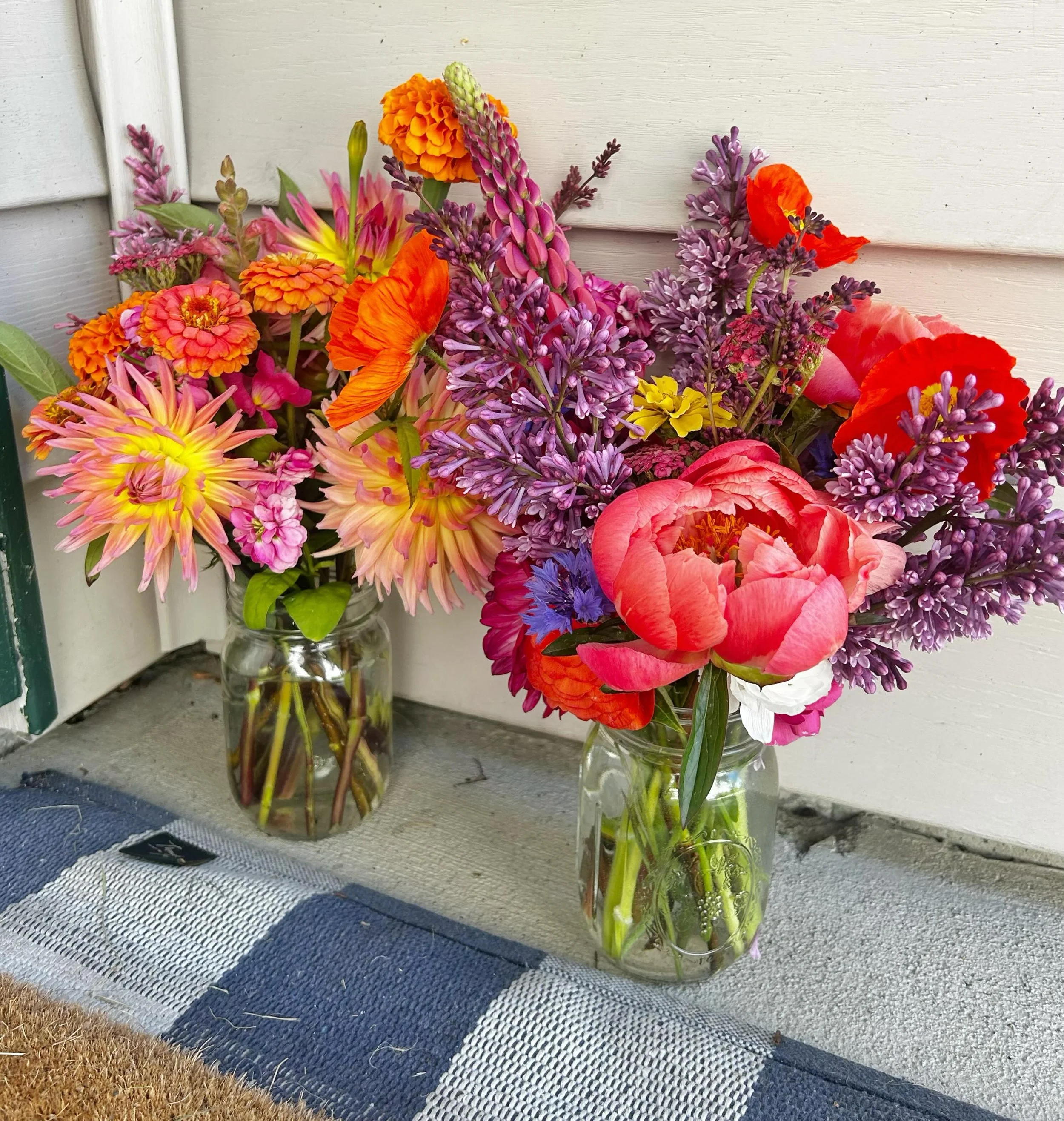 One of my favorite things is getting to share my flowers with family and friends! These beauties got dropped off by the flower fairy for a sweet friend 🩷💐

#localflowers #freshflowers #flowerfarmer #flowerfairy #whitefishmontana
