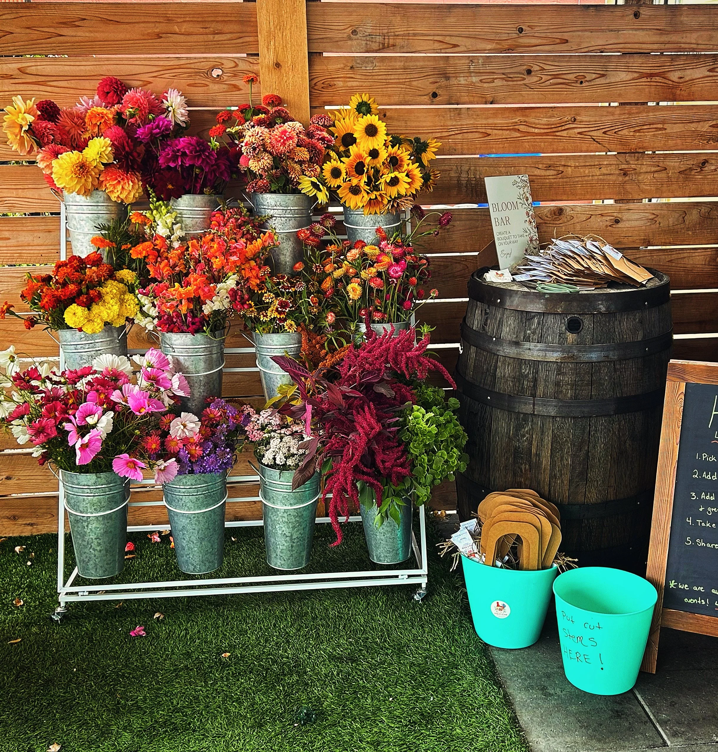 Bloom Bar (Rental Only)