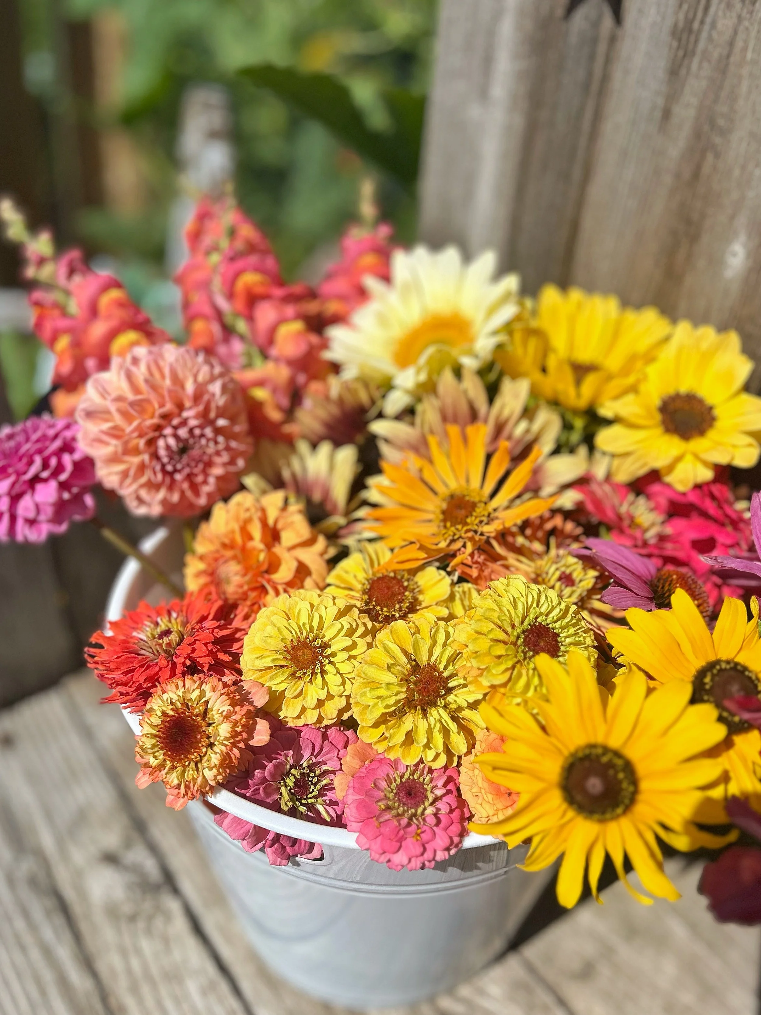 Bucket of Blooms - Grower’s Choice