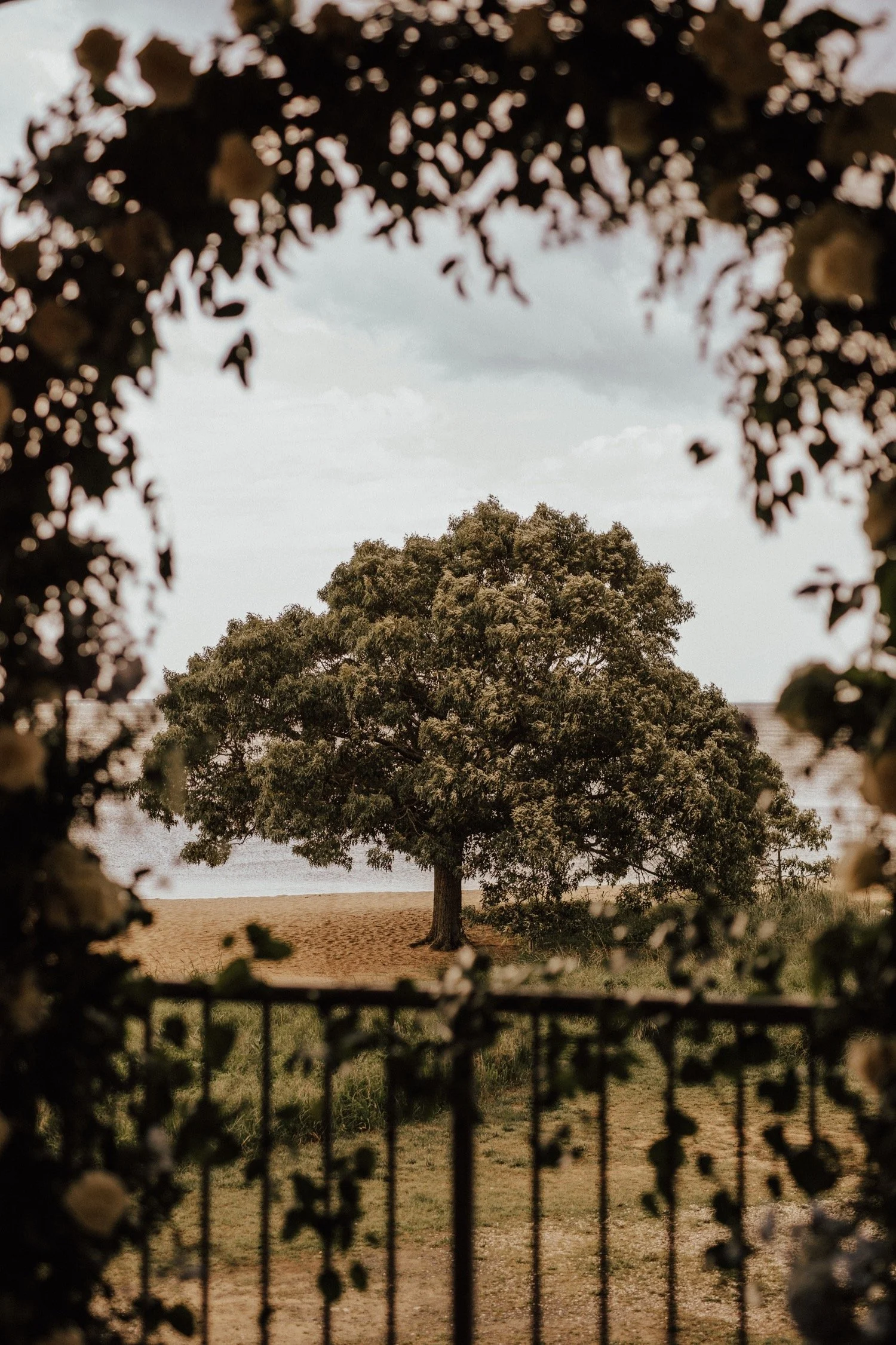 chesapeakebayfoundationwedding_kempcollective_annapolisweddingphotographer