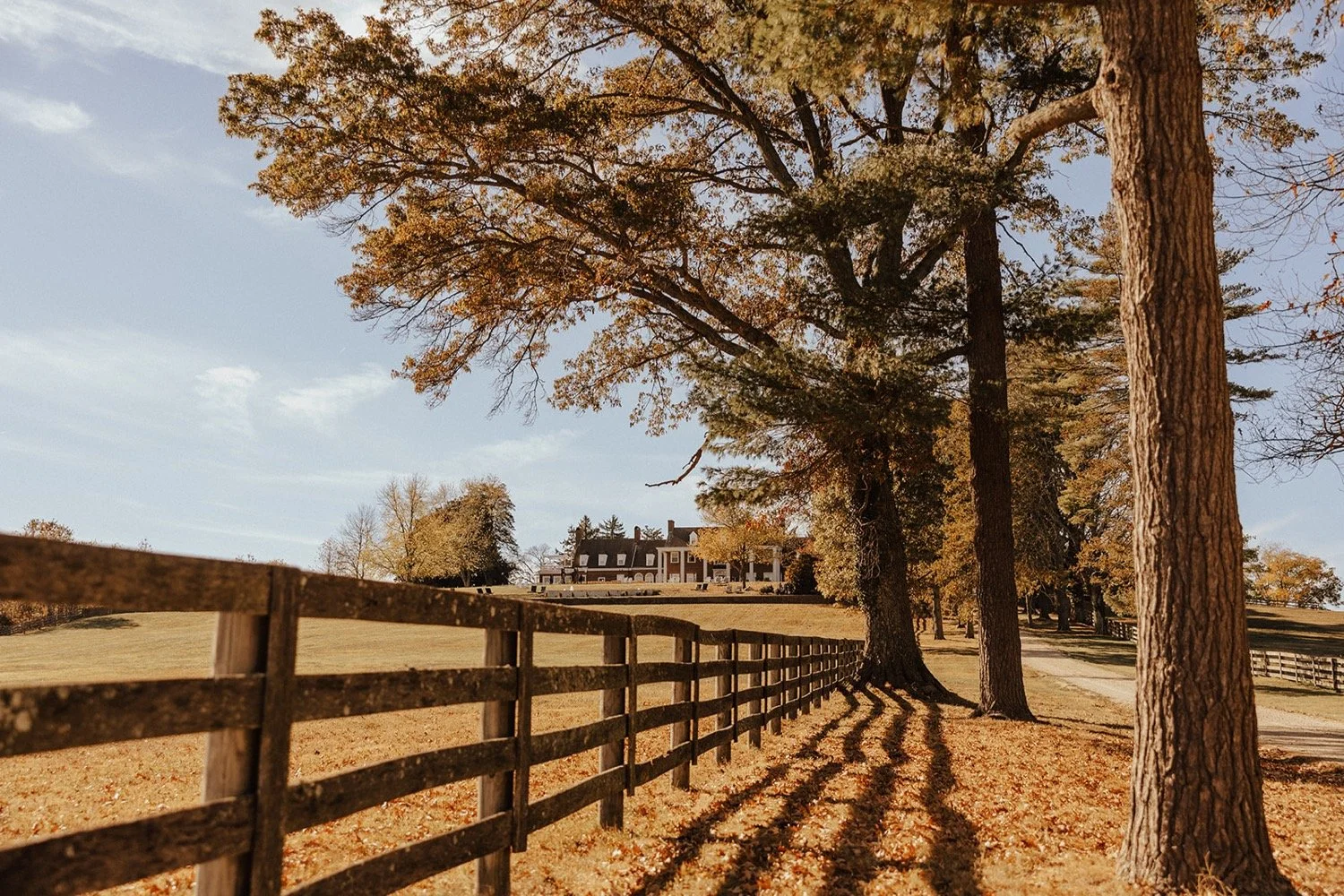 tacaro-estate-wedding-kemp-collective-annapolis-wedding-photographer