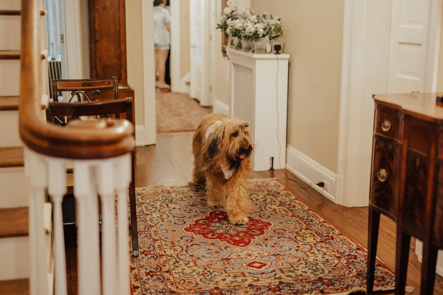 chesapeakebayfoundationwedding_kempcollective_annapolisweddingphotographer