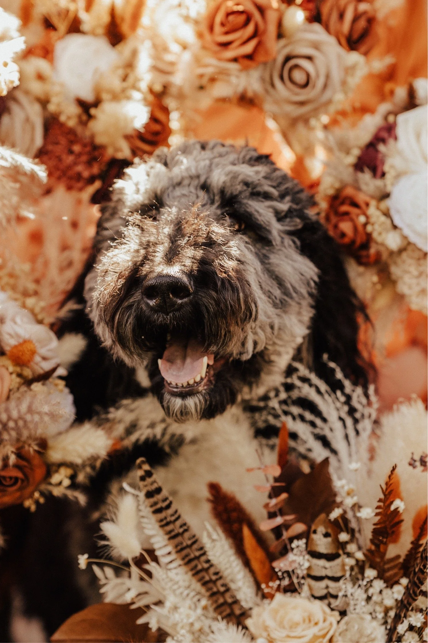 barnatsilverstonewedding_kempcollective_lancasterpennsylvania