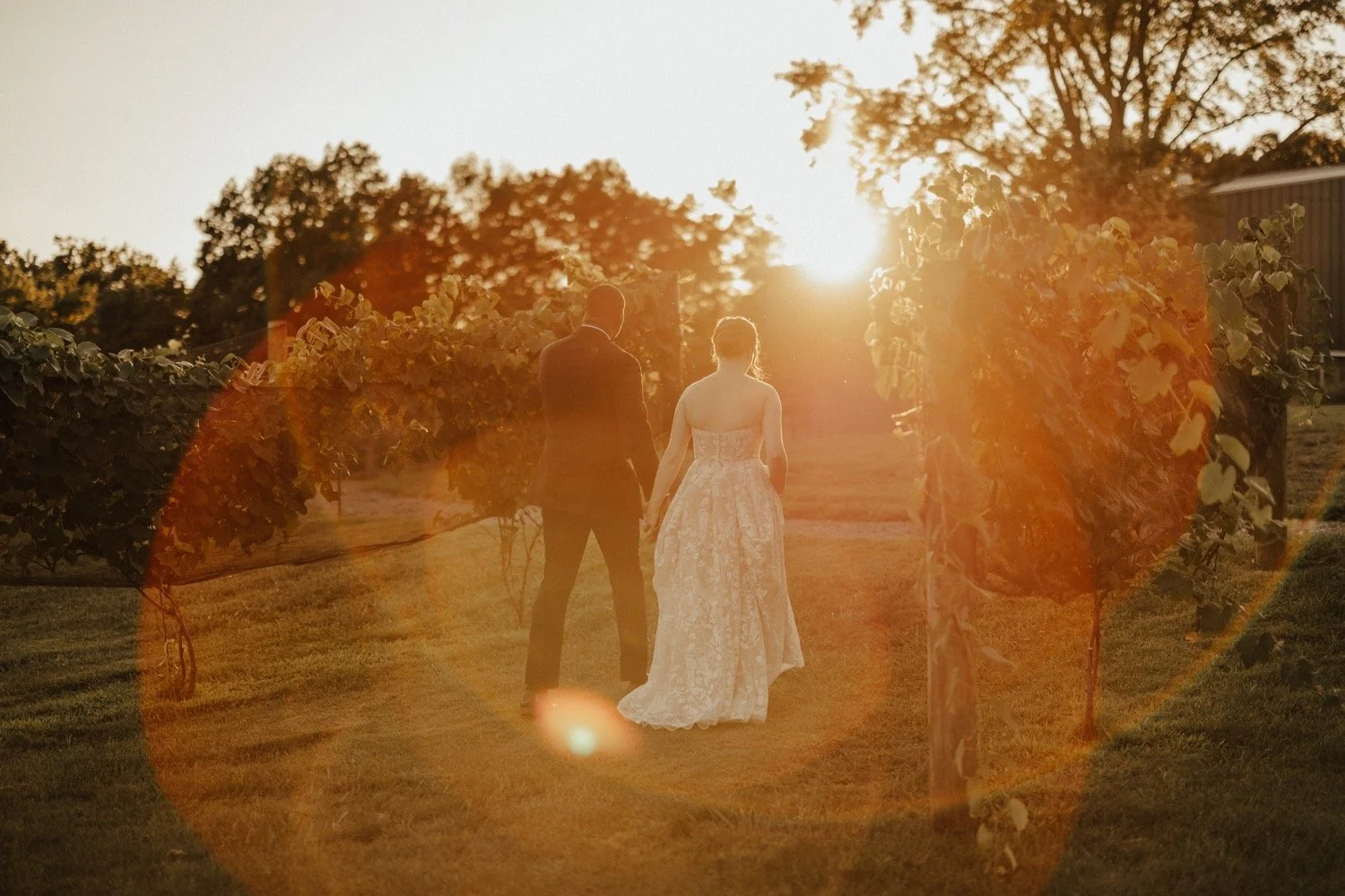 the-crossvines-wedding-kemp-collective-maryland-wedding-photographer