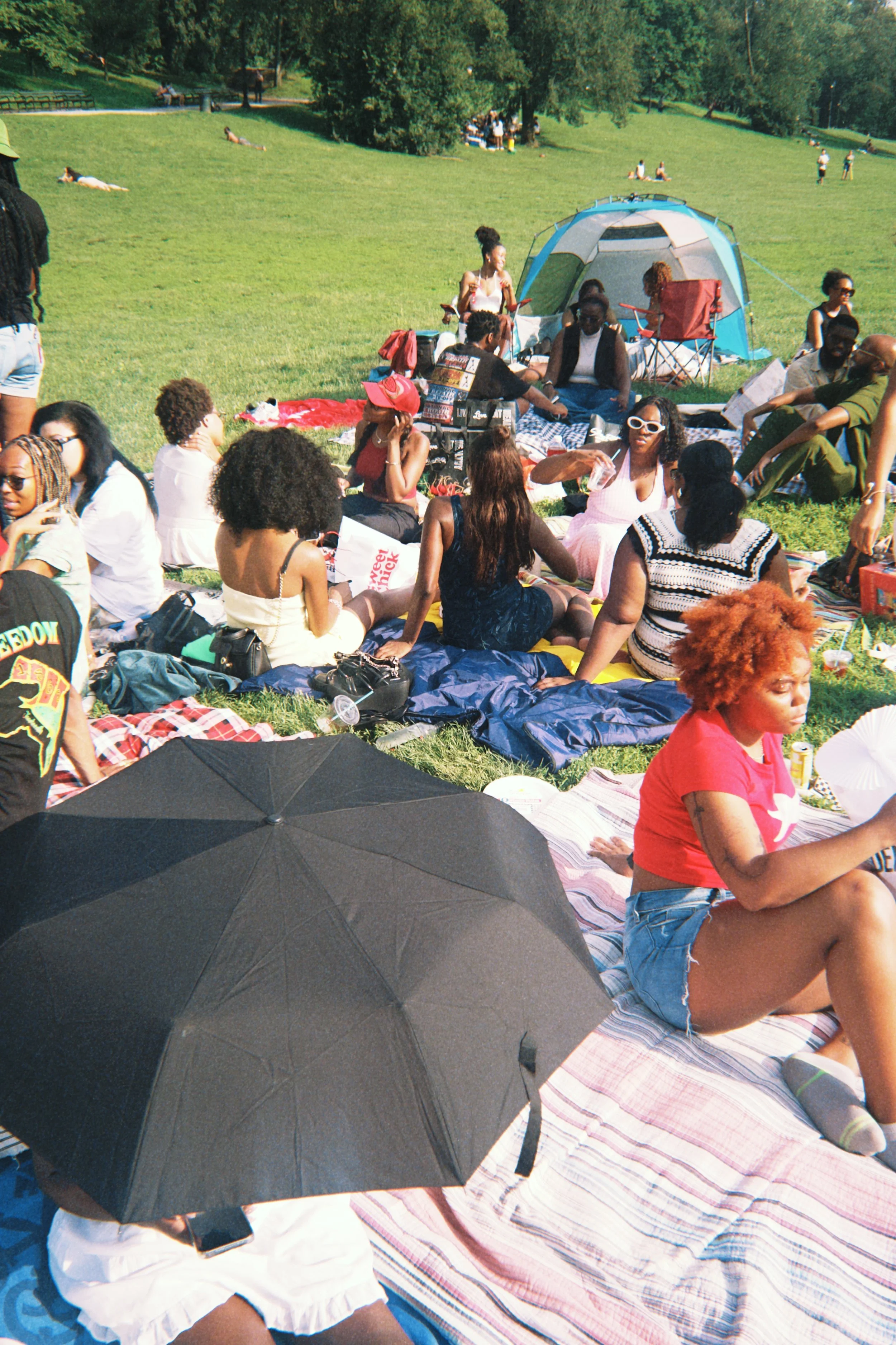 Group of people having a picnic in a park, sitting on blankets and lawn chairs with a blue camping tent in the background, on a sunny day with green grass and trees.
