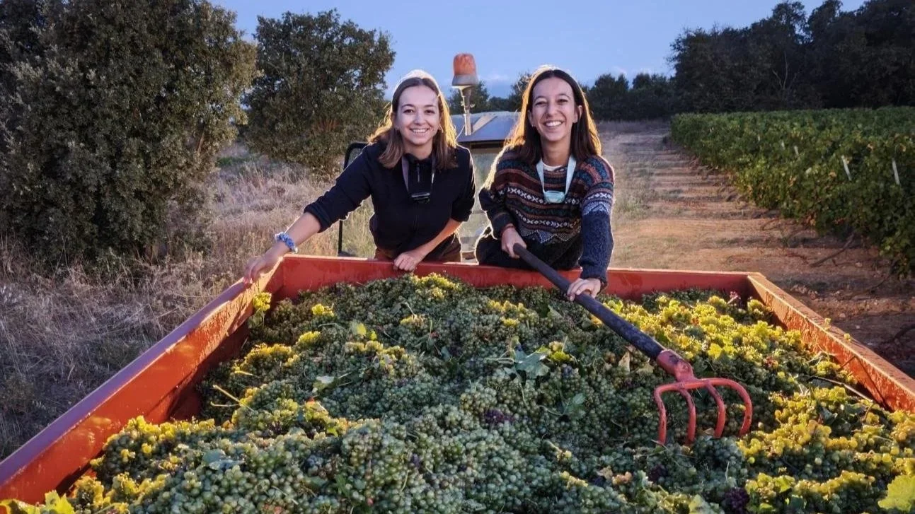 Deux femmes souriantes récoltent des grappes de raisins ou de vigne dans un vignoble.