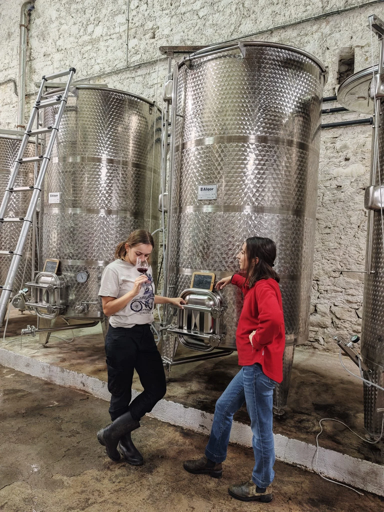 Deux femmes en vêtements décontractés dégustent du vin rouge dans une cave à vin ou une cave de production de vin près de cuves en inox.