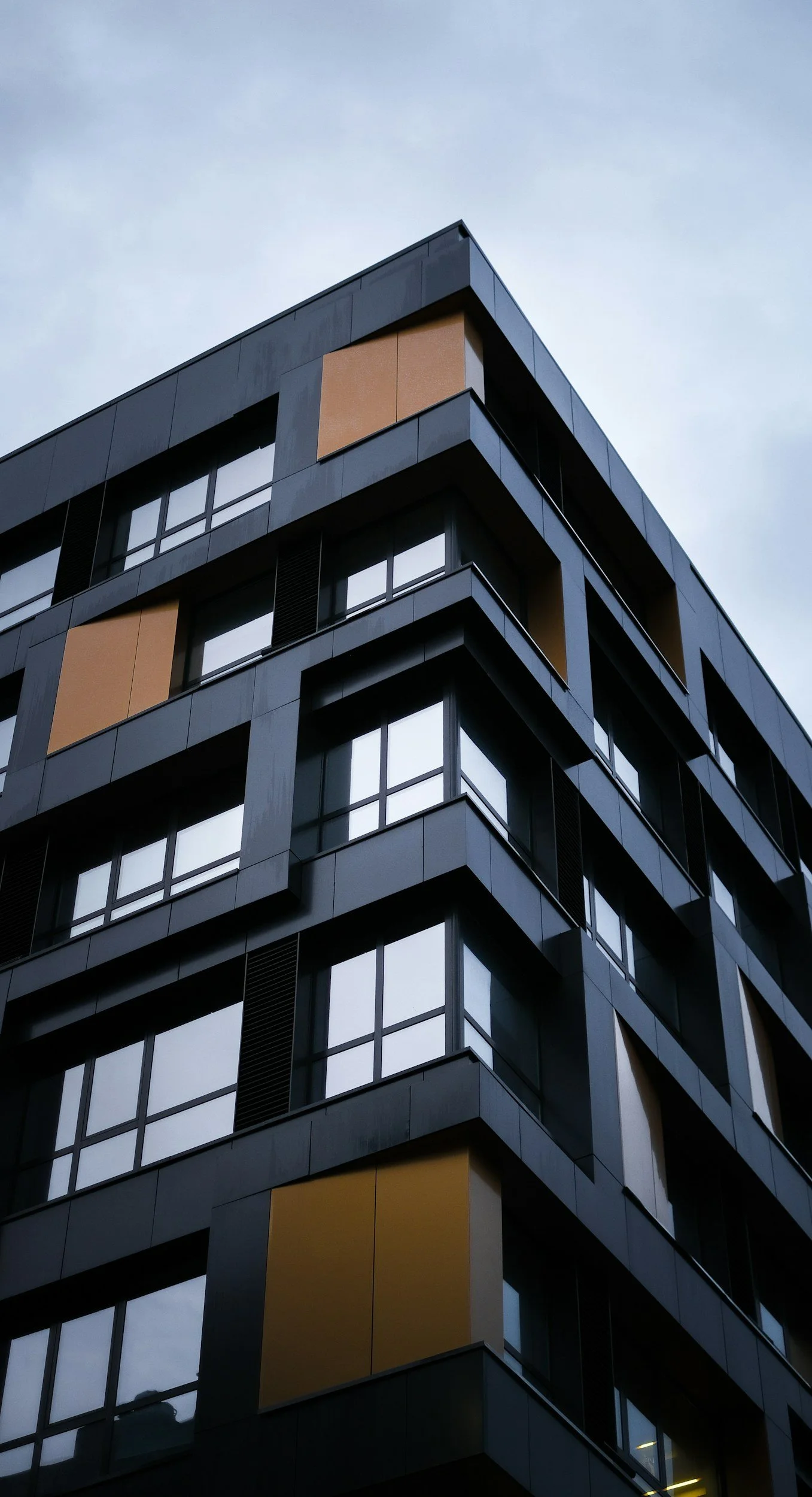 Modern multi-story building with black and brown exterior panels and large windows, set against a cloudy sky.