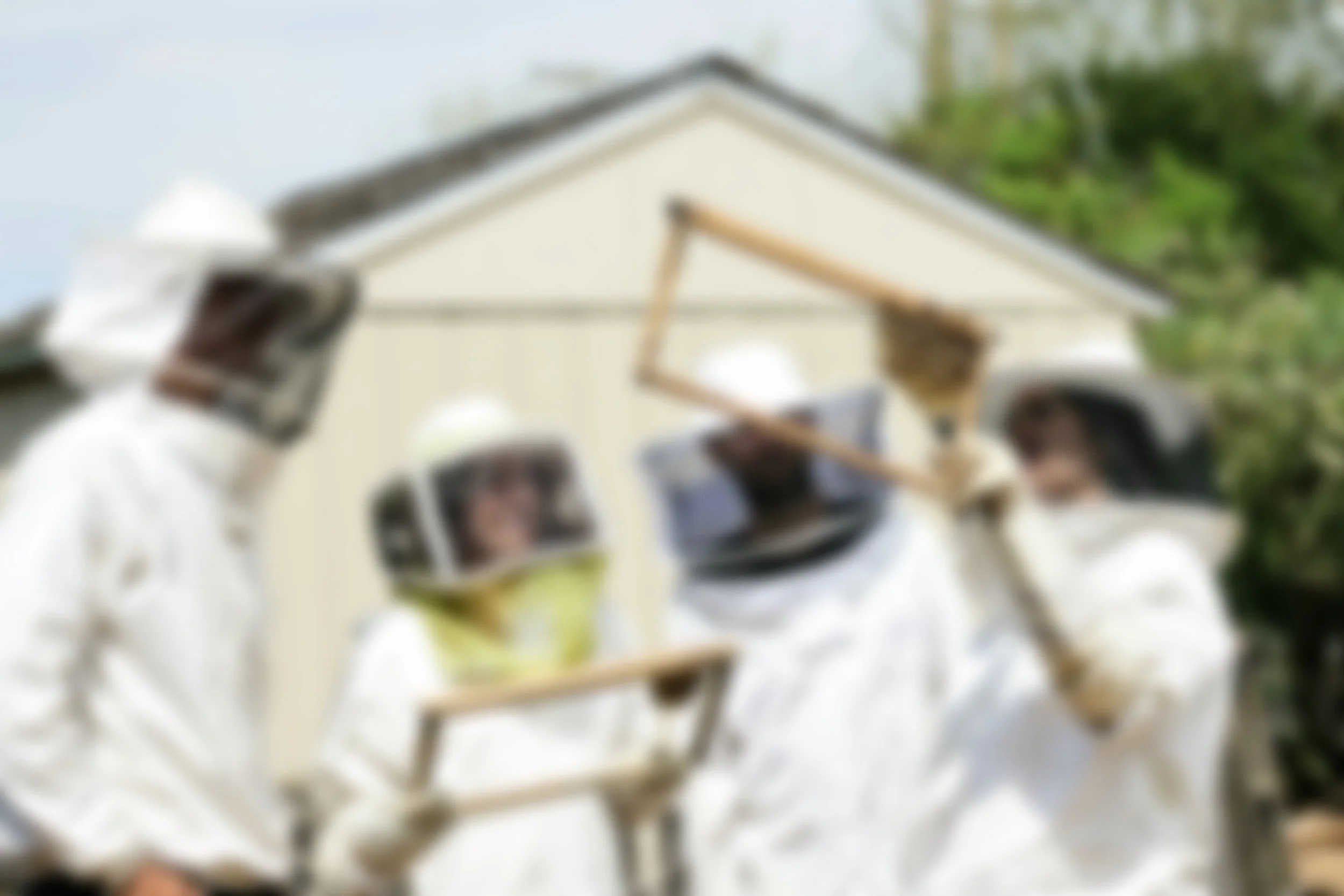 Four people wearing white beekeeper suits and veiled protective gear standing outside near a house, holding a honey frame and a hive tool.