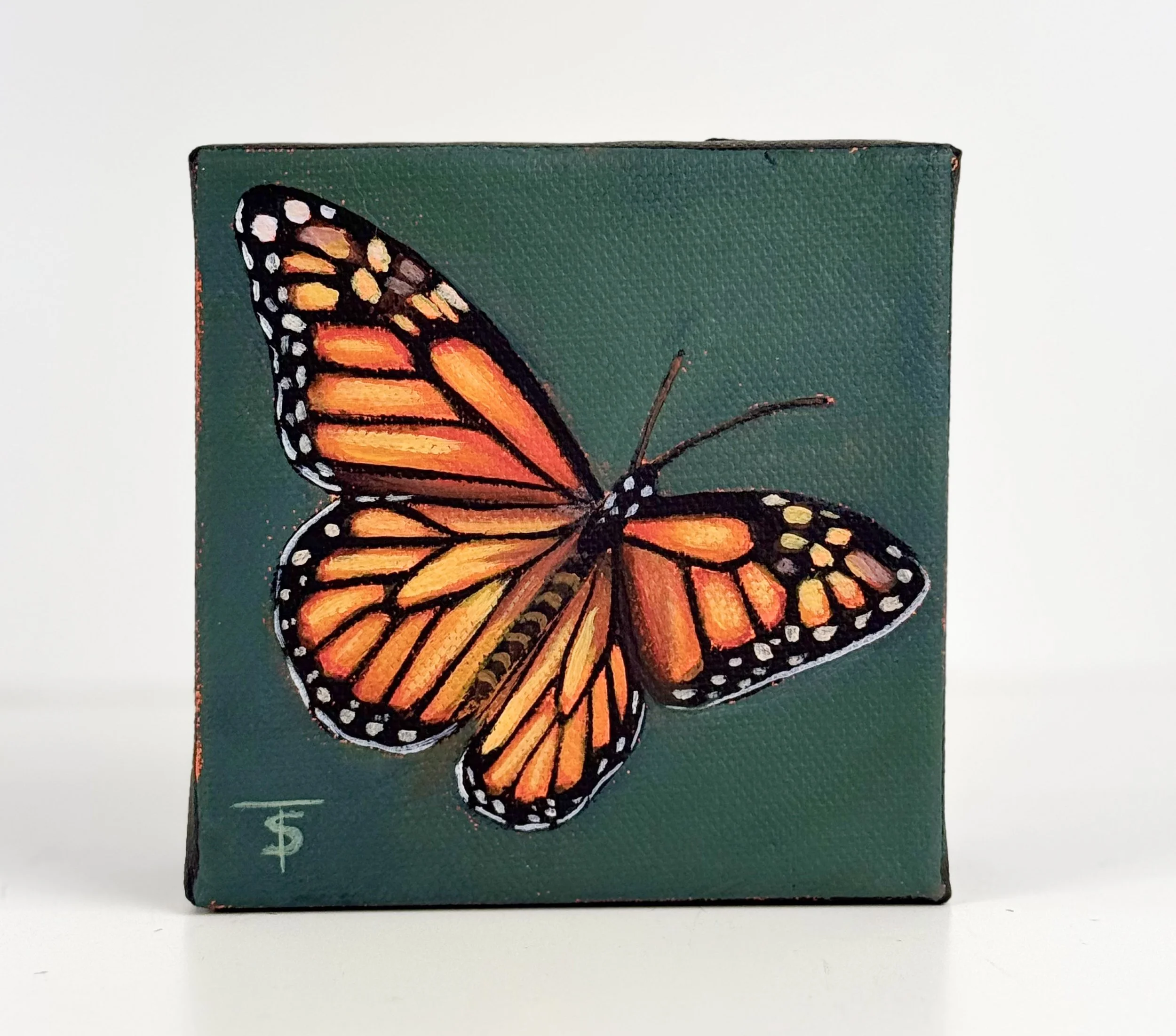 Butterfly | 4x4 Gallery Depth Painting by Tabitha Schae