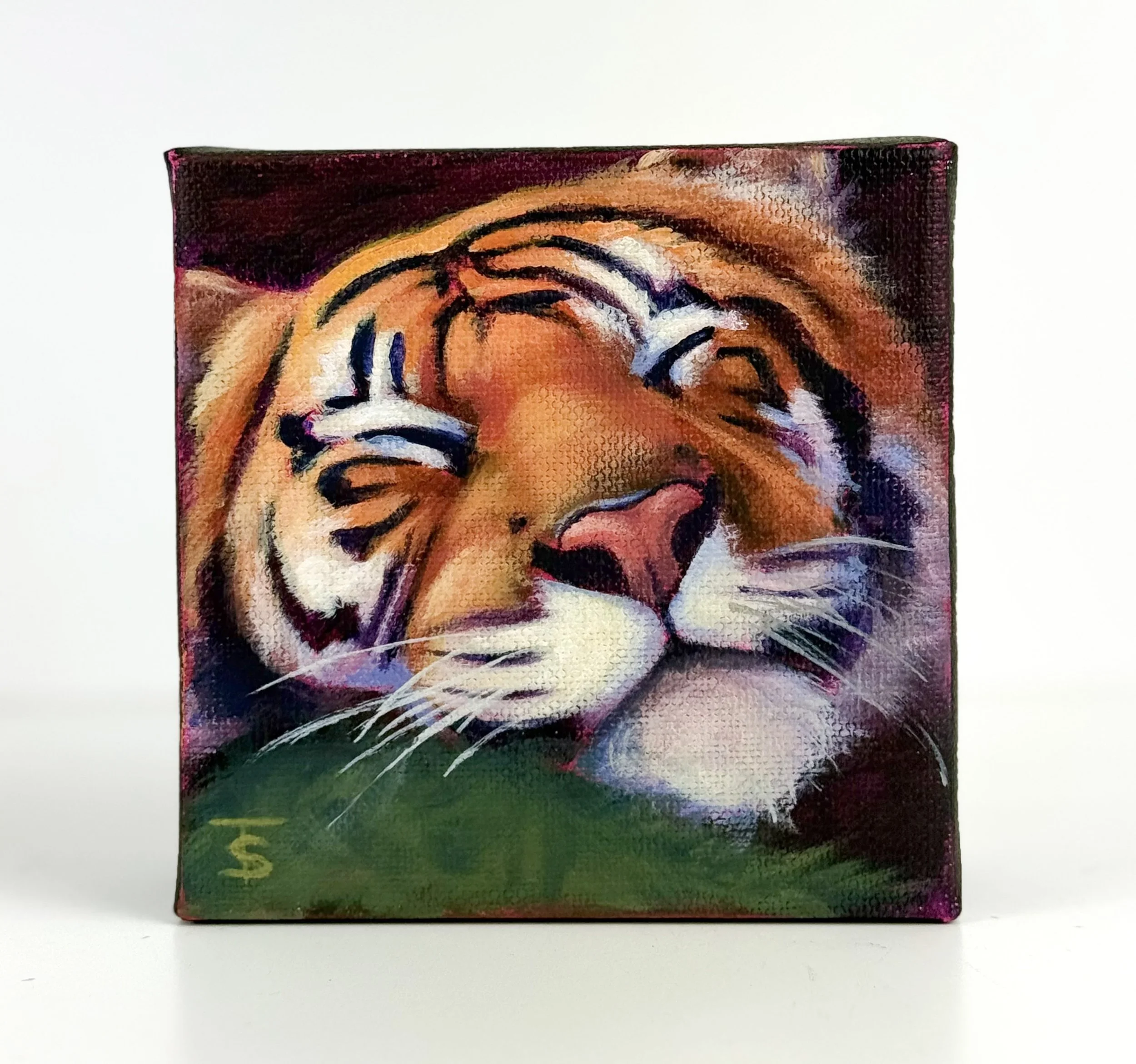 A Little Snooze | 4x4 Gallery Depth Painting by Tabitha Schae