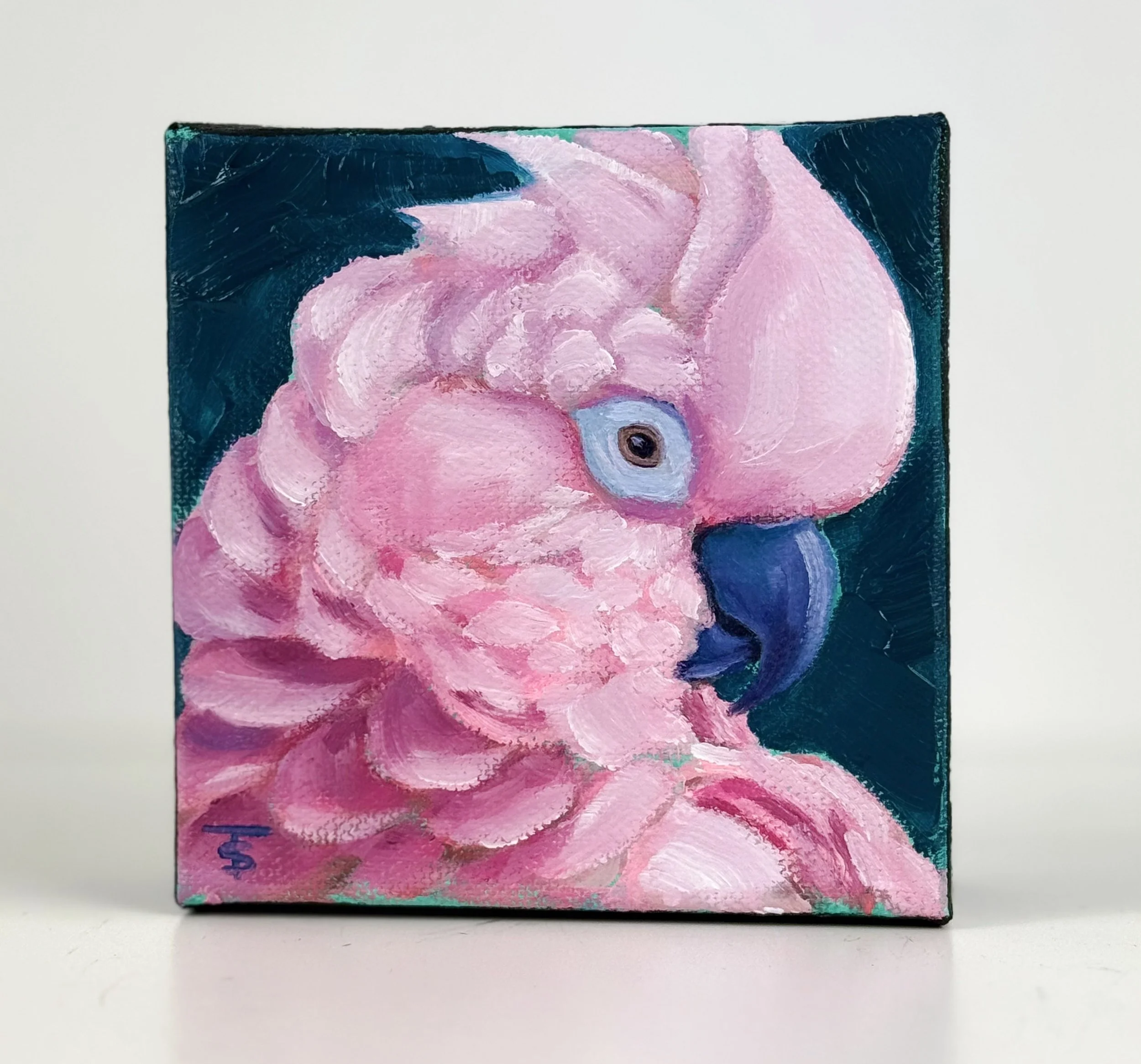 Pretty in Pink | 4x4 Gallery Depth Painting by Tabitha Schae