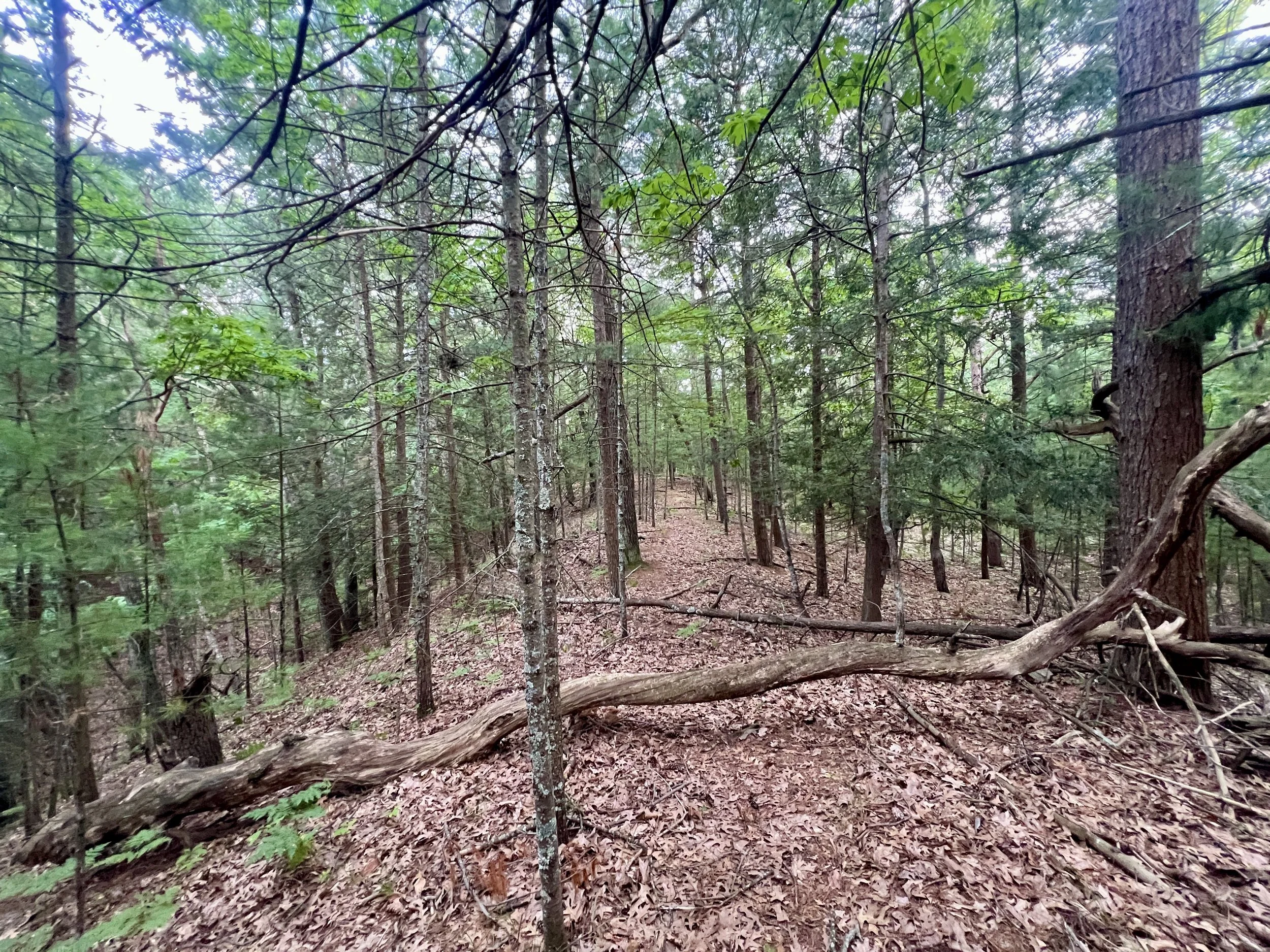 V/L A Lenox Avenue, Pentwater, MI 49449