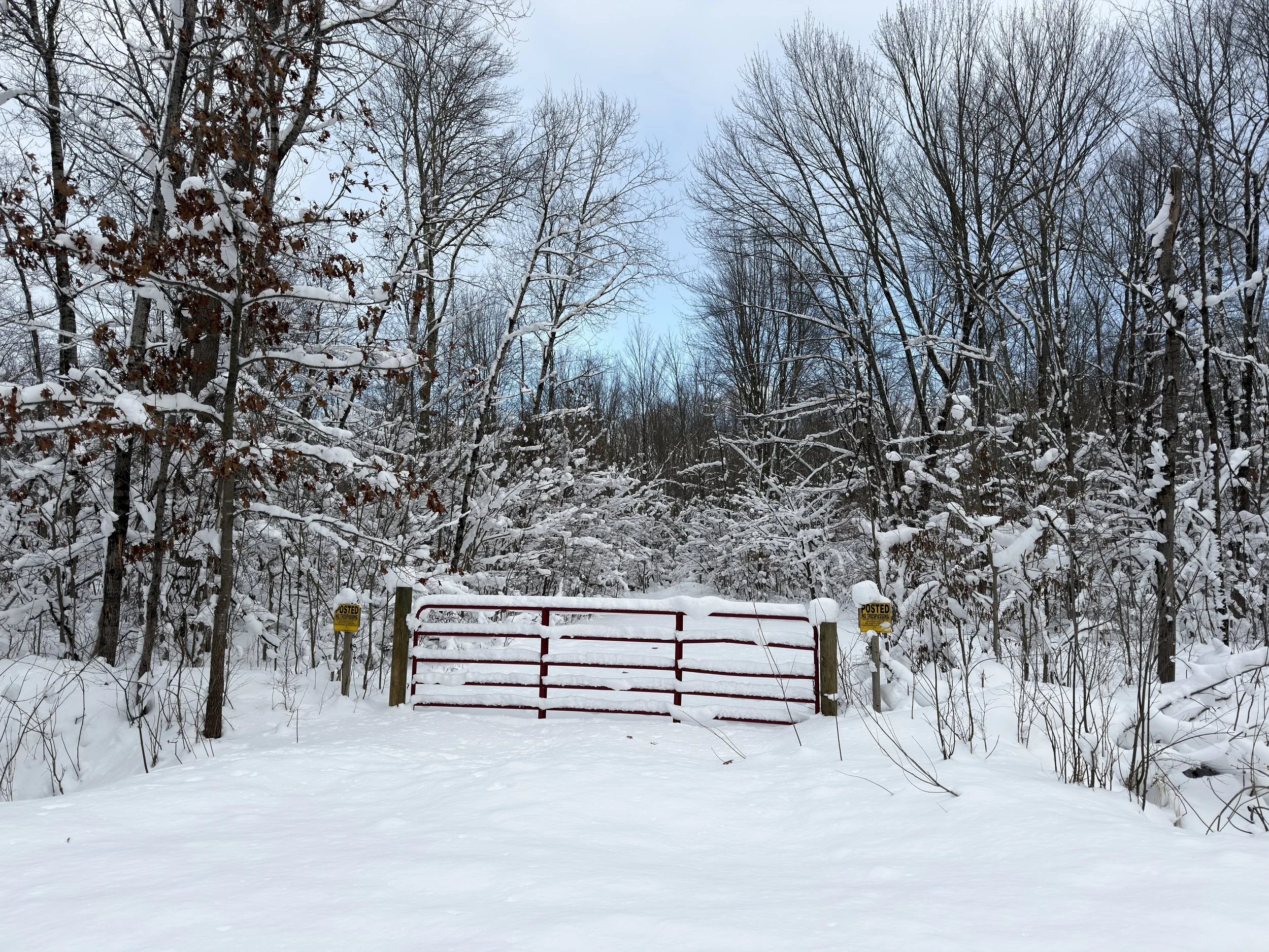 10830 W 3 Mile Road, Branch, MI 49402