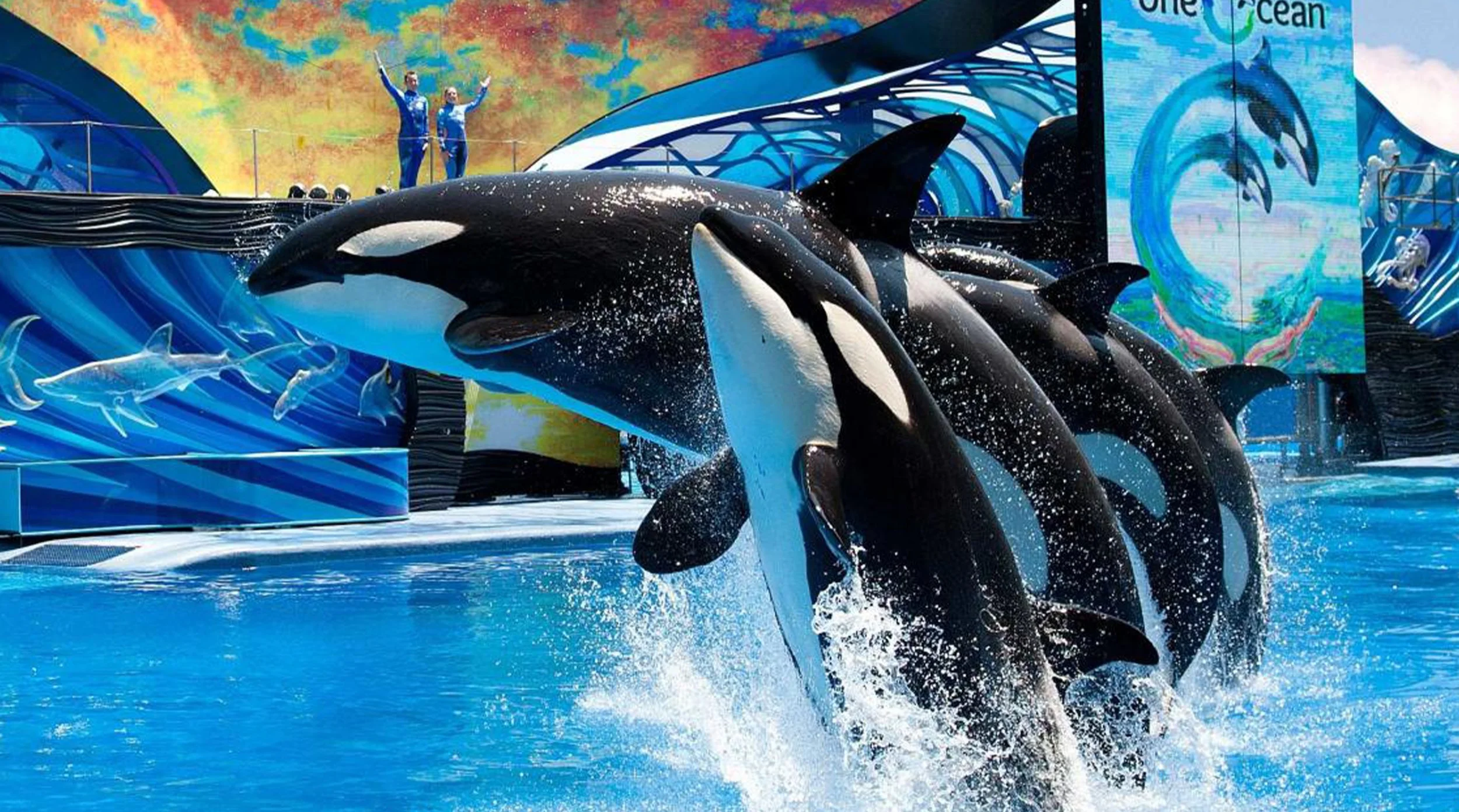 SeaWorld: Onde o Mar Ganha Vida!