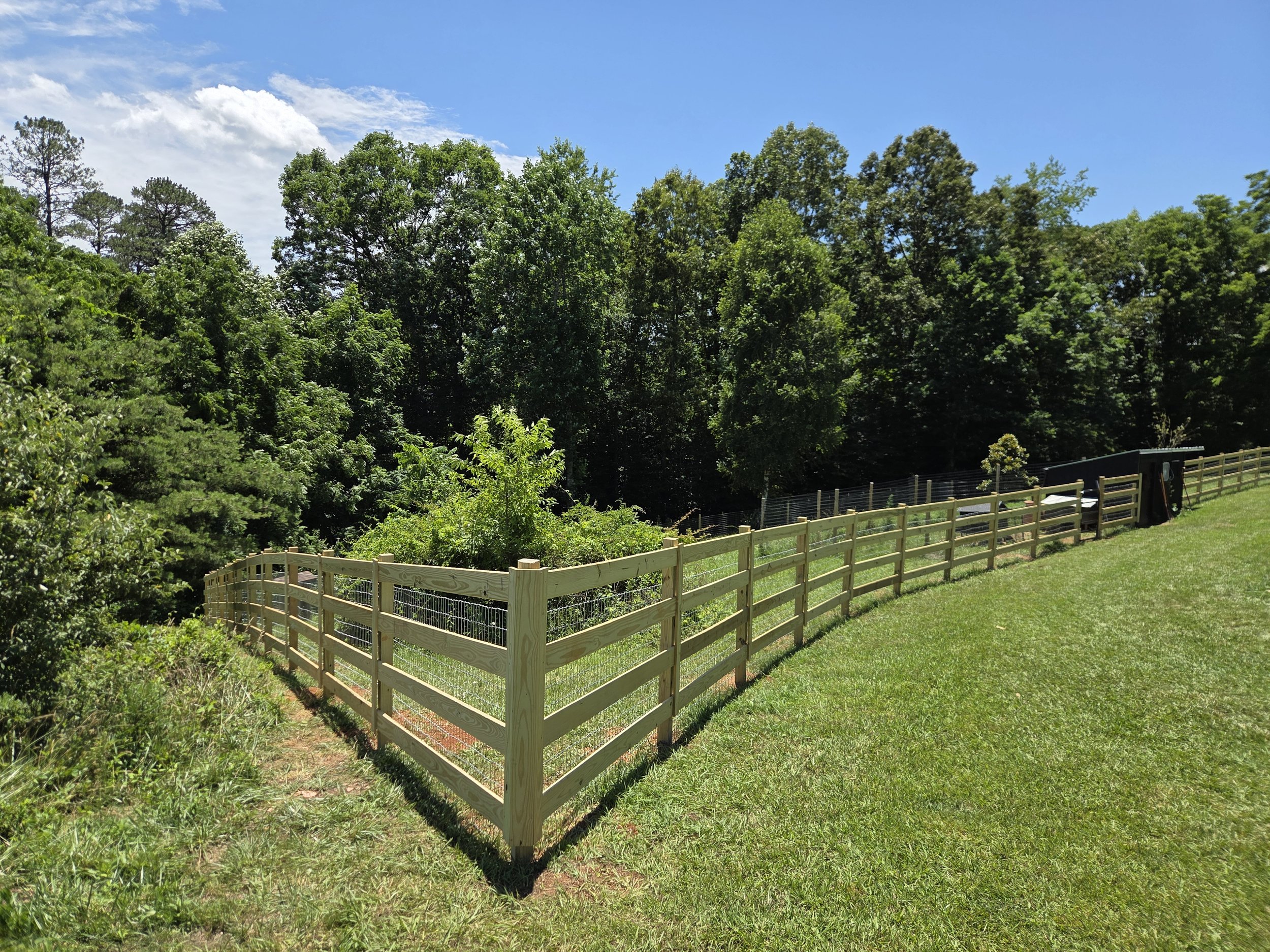 20260619_134627.jpg