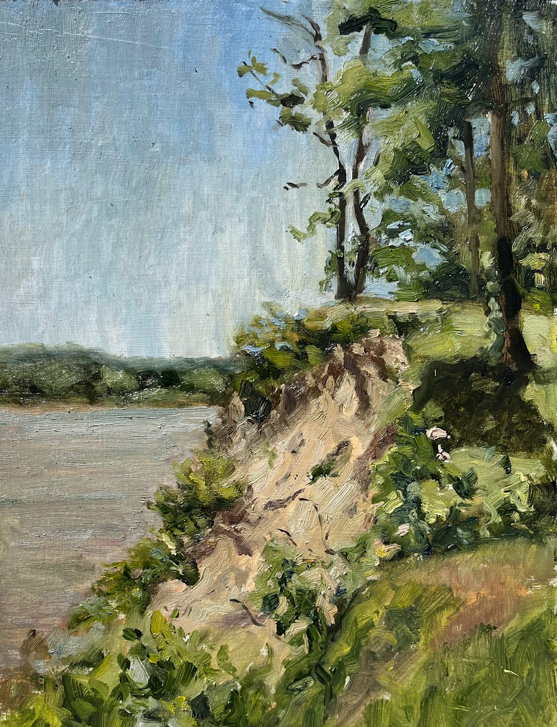 Alton Bluff
2025
12x16"
Oil on wood