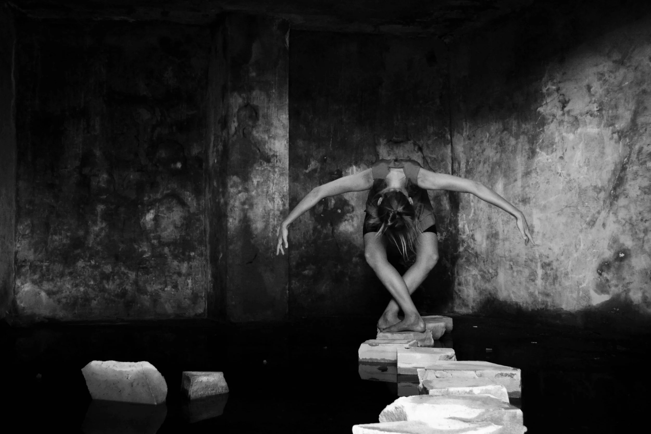 wings of silence