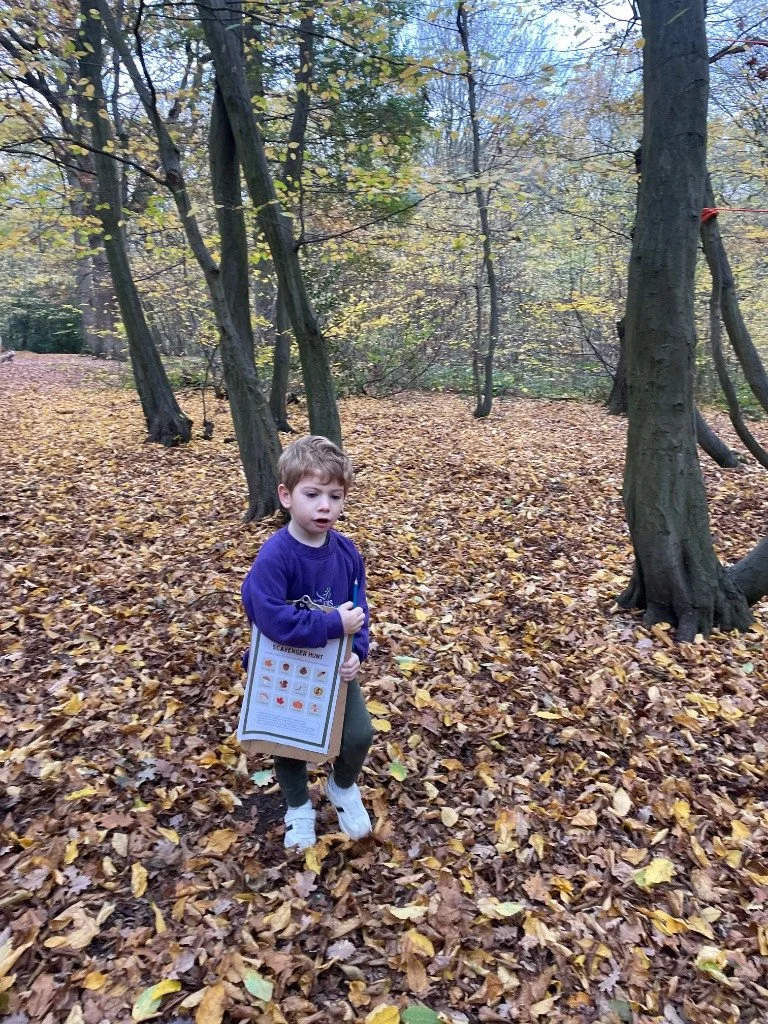 A young boy in a purple sweatshirt, carrying a scavenger hunt sheet, walks through a forest with trees and fallen leaves.