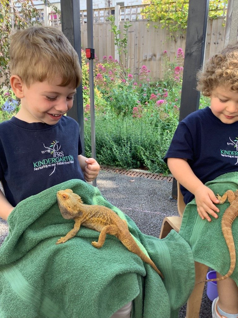 Two young boys with curly hair in navy blue shirts sitting outdoors, each holding a bearded dragon on a green towel.