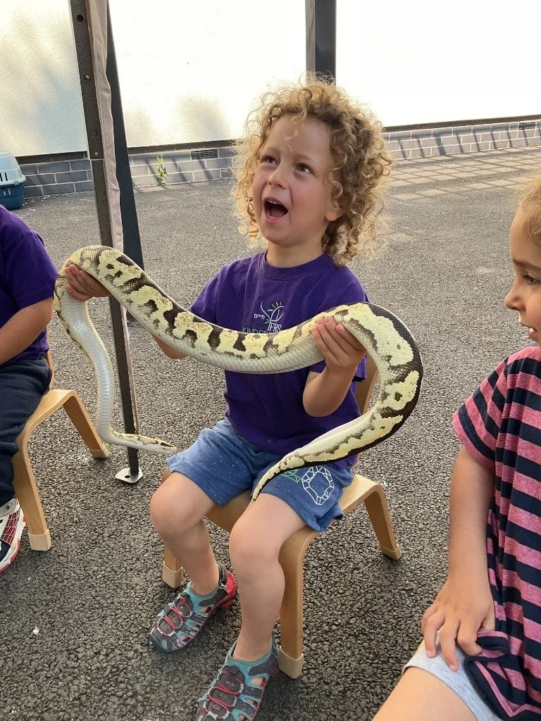 A young girl with curly blonde hair wearing a purple t-shirt and shorts is holding a large snake, appearing to be a python, at an educational event. She has an excited or surprised expression on her face. The girl is seated on a small wooden chair ou