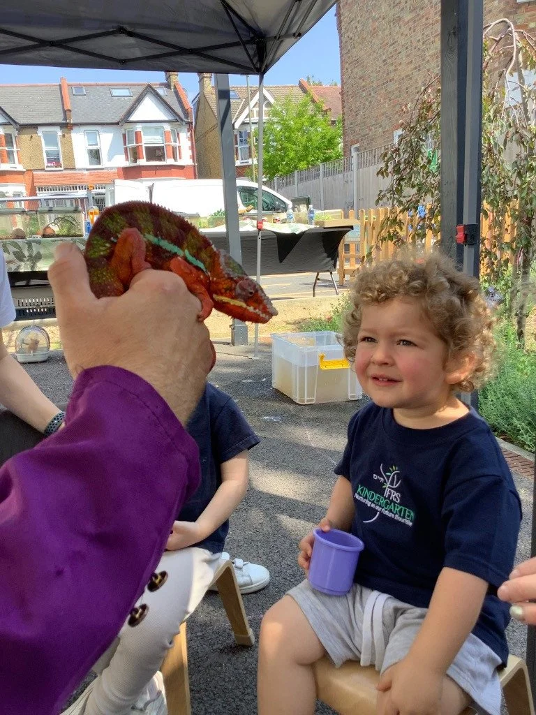 A young curly-haired boy sitting outdoors on a small wooden chair, holding a purple cup, being shown a colorful chameleon held by a person wearing a purple jacket. Several other children are sitting nearby, and there is a canopy overhead, with a back