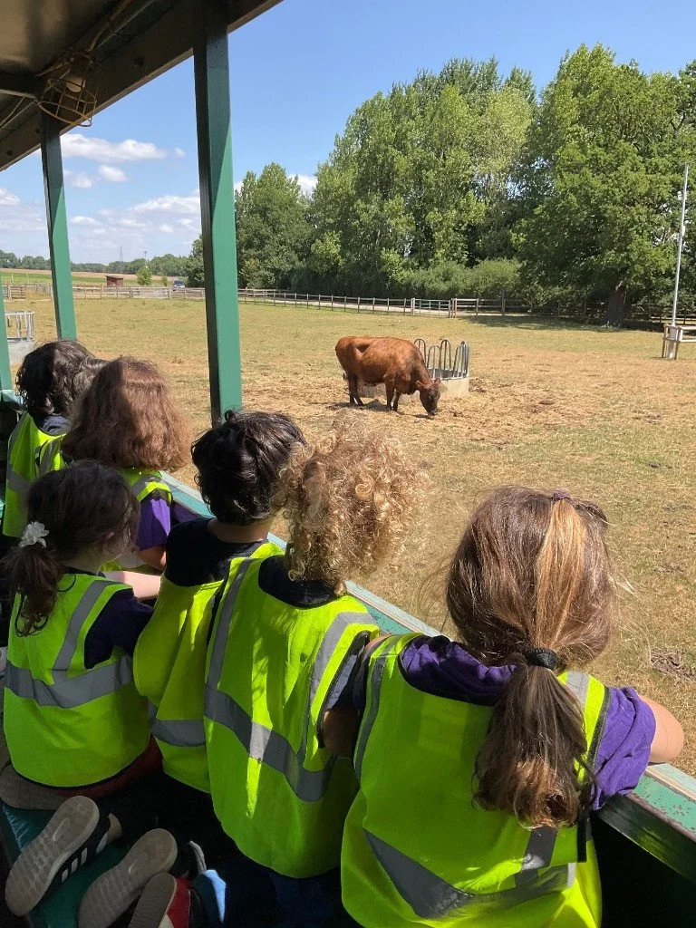 Children wearing yellow safety vests watching a buffalo in a zoo exhibit with trees and a wooden fence in the background.