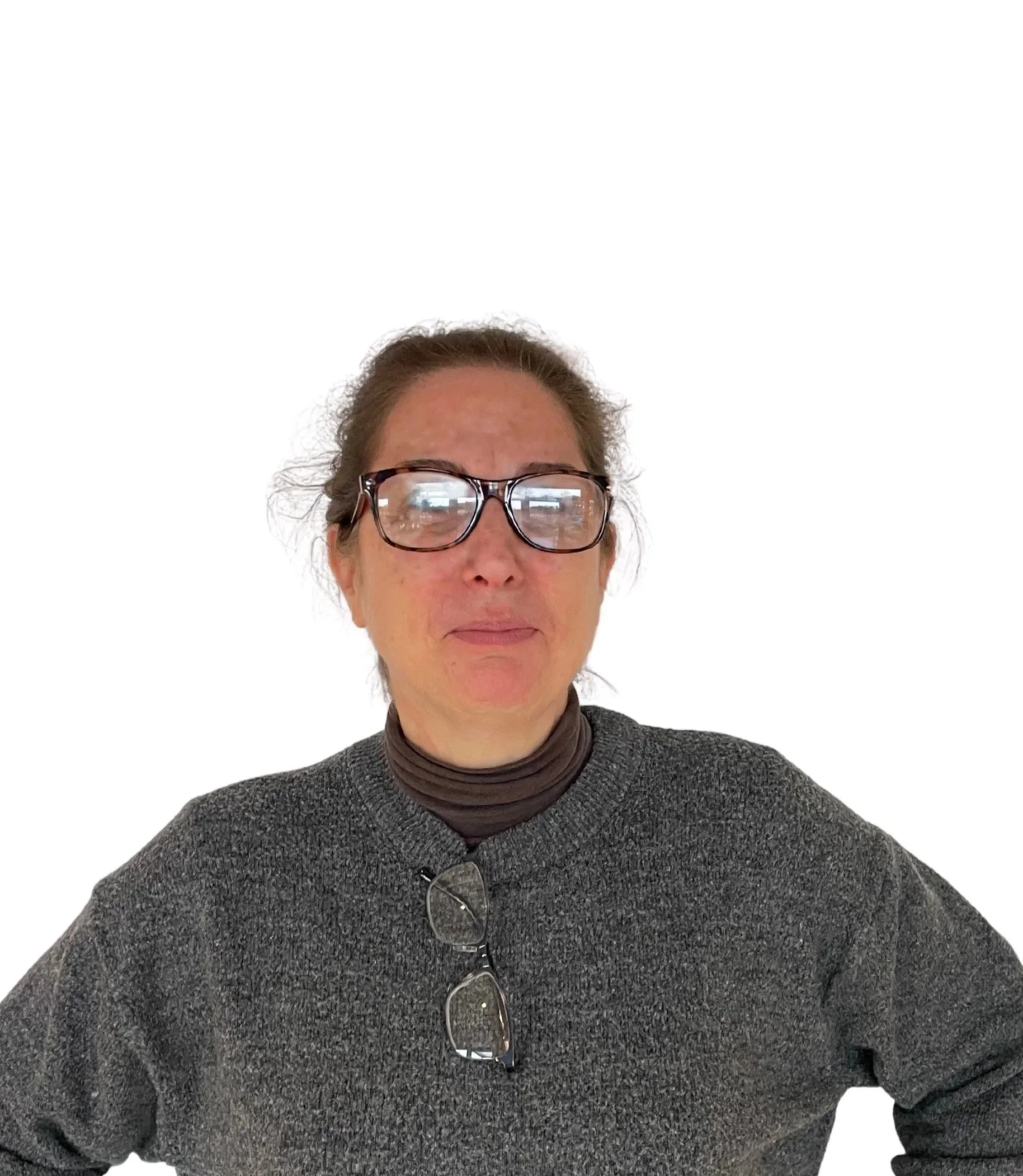 A middle-aged woman with brown hair pulled back, wearing large glasses, a gray sweater, and a black turtleneck, standing against a white background.