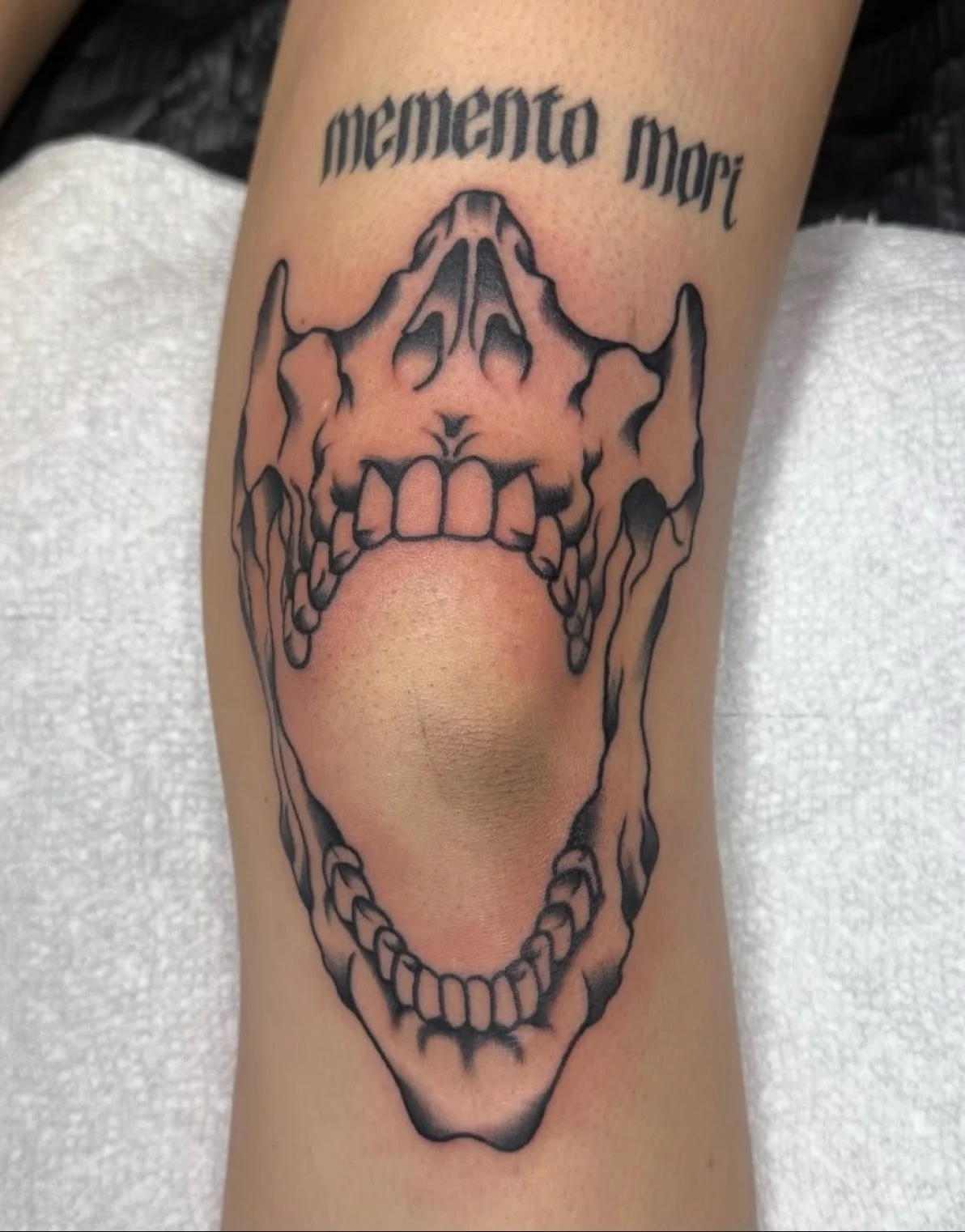 Black and gray jaw to frame the knee by @theemelodic 

𖤓

To book your piece or project, contact directly