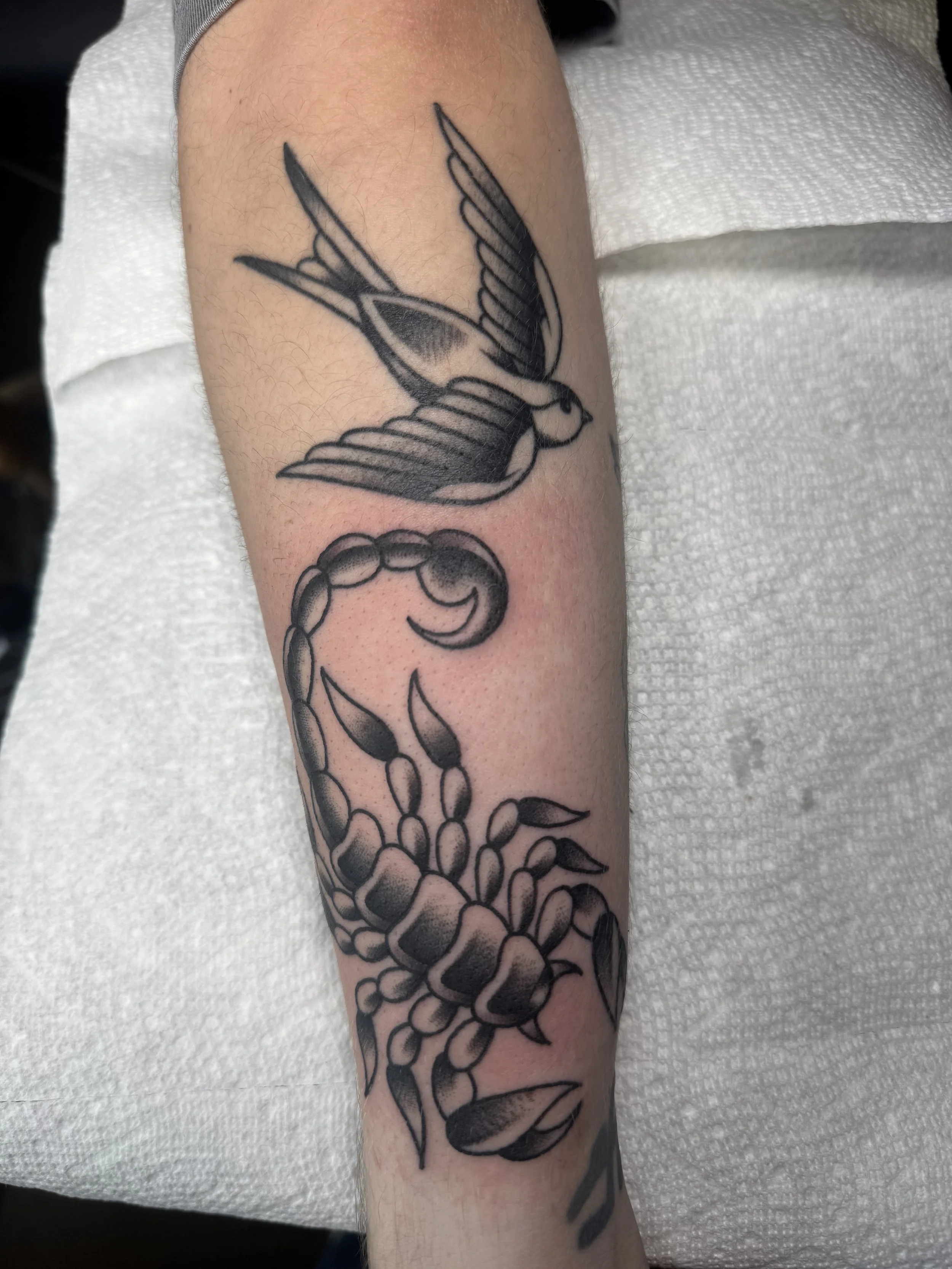 Tattoo artist Mel Gonzales, @theemelodic American Traditional black and gray scorpion and swallow tattoos on the arm at Dame of the West Tattoo in Scottsdale, Arizona.