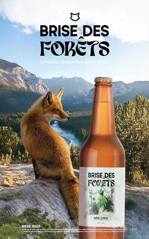 BRISE DES FORETS.jpg